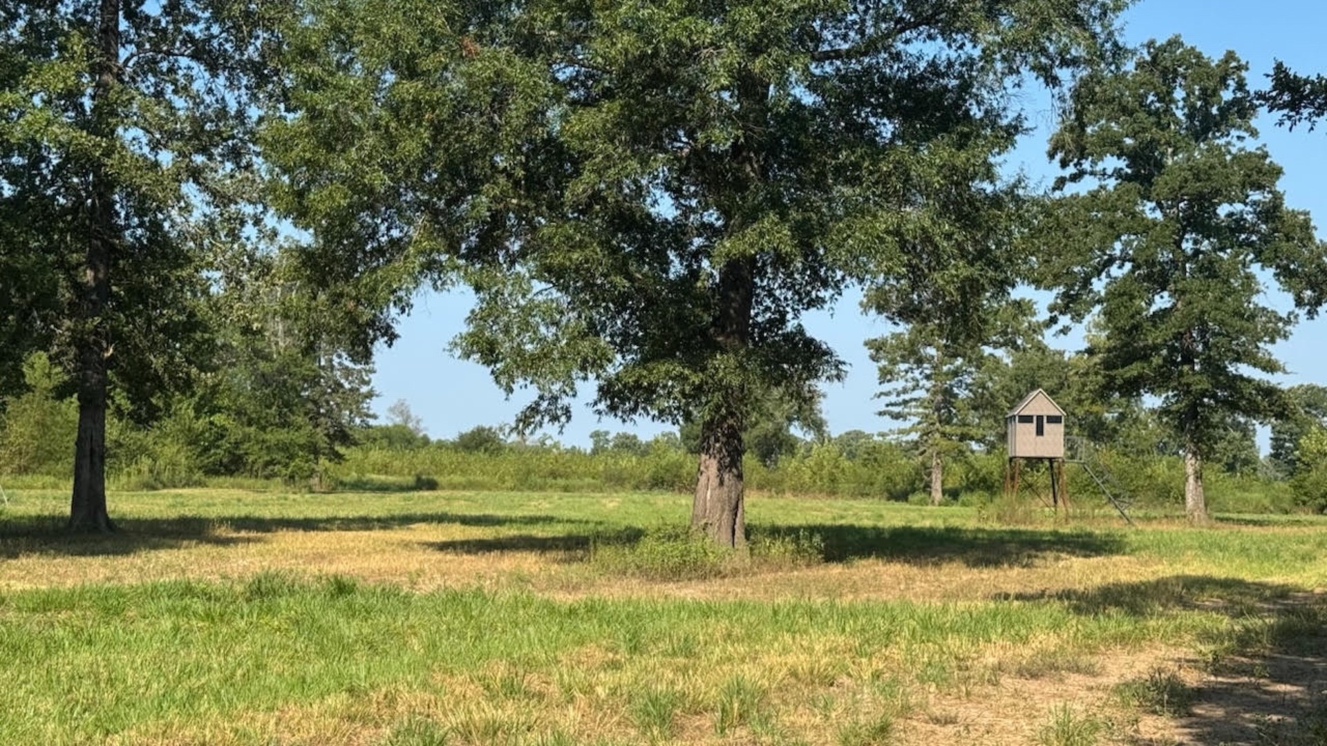 768 County Road 2220 Talco TX 75487