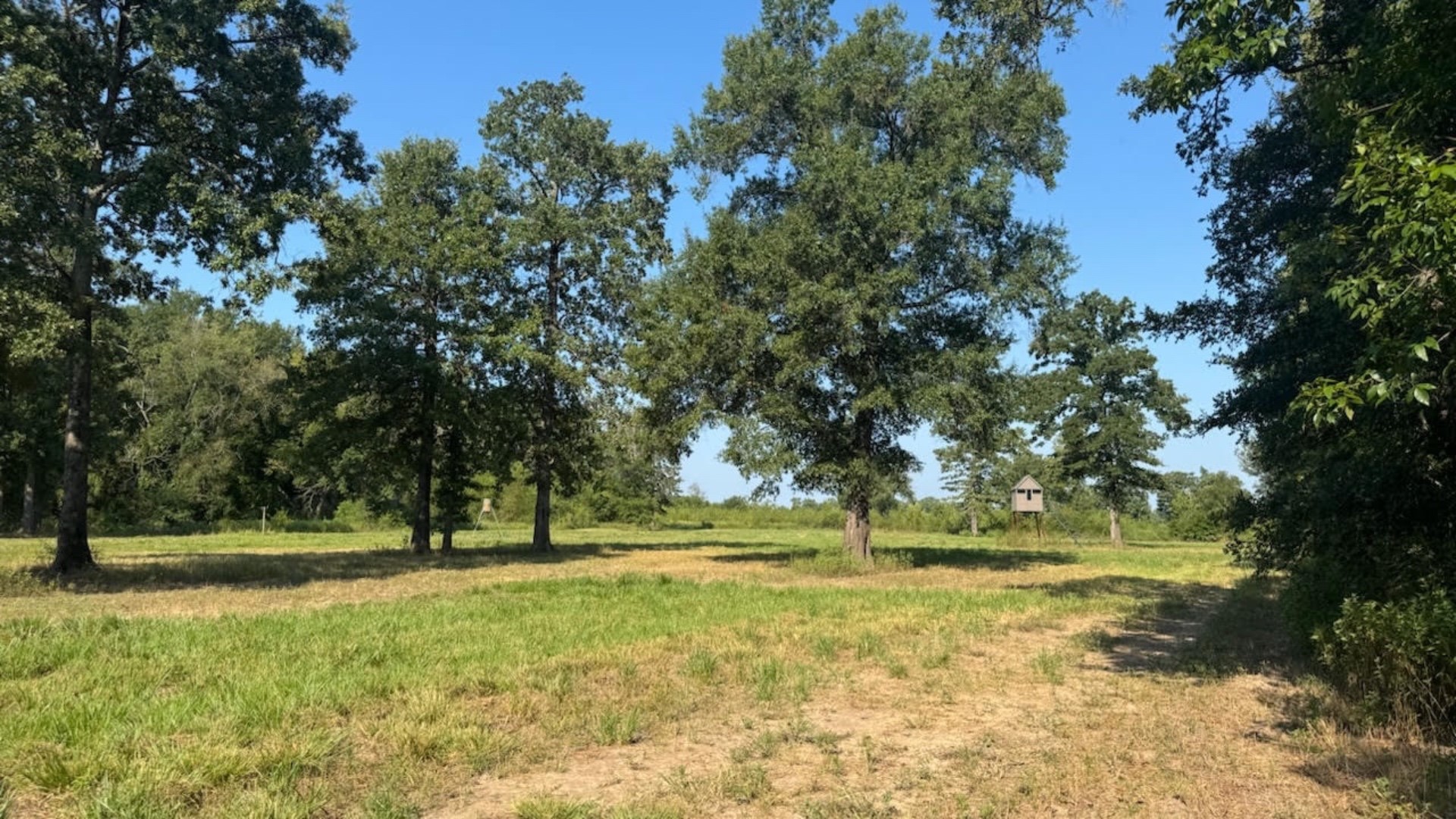 768 County Road 2220 Talco TX 75487