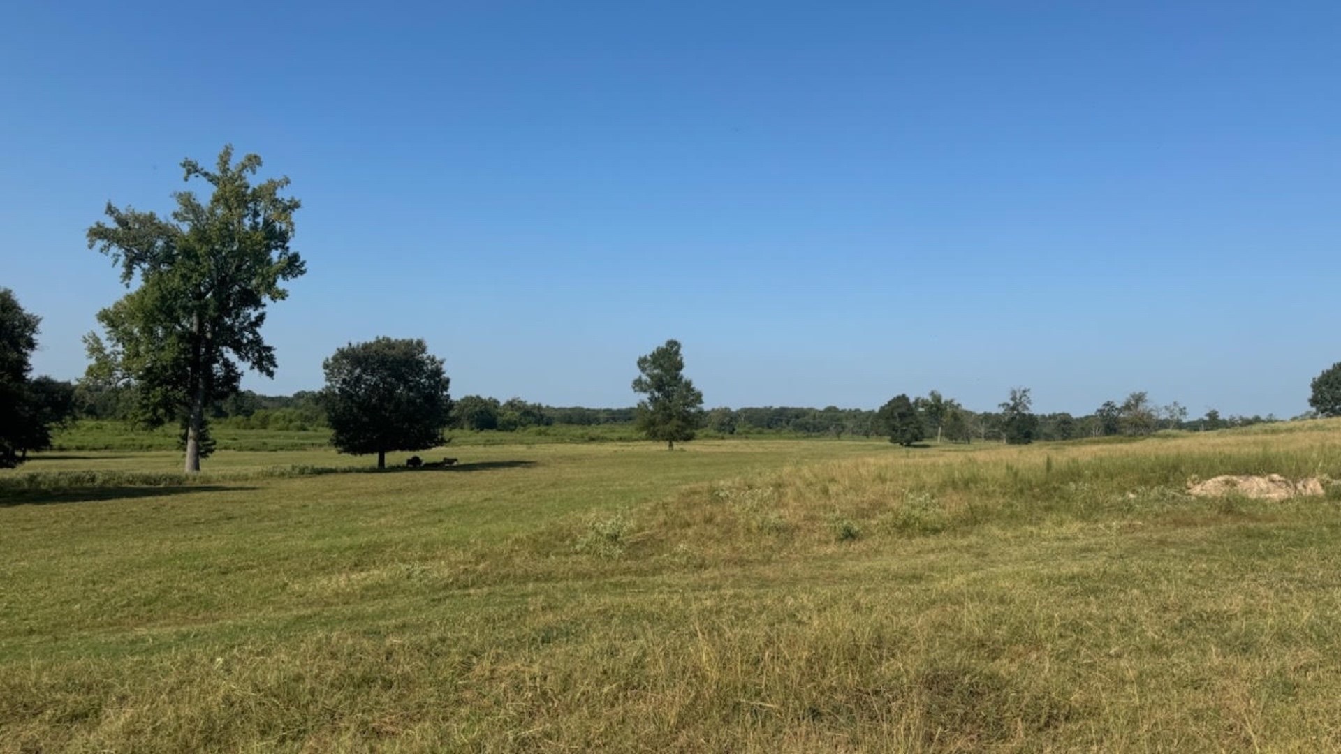 768 County Road 2220 Talco TX 75487