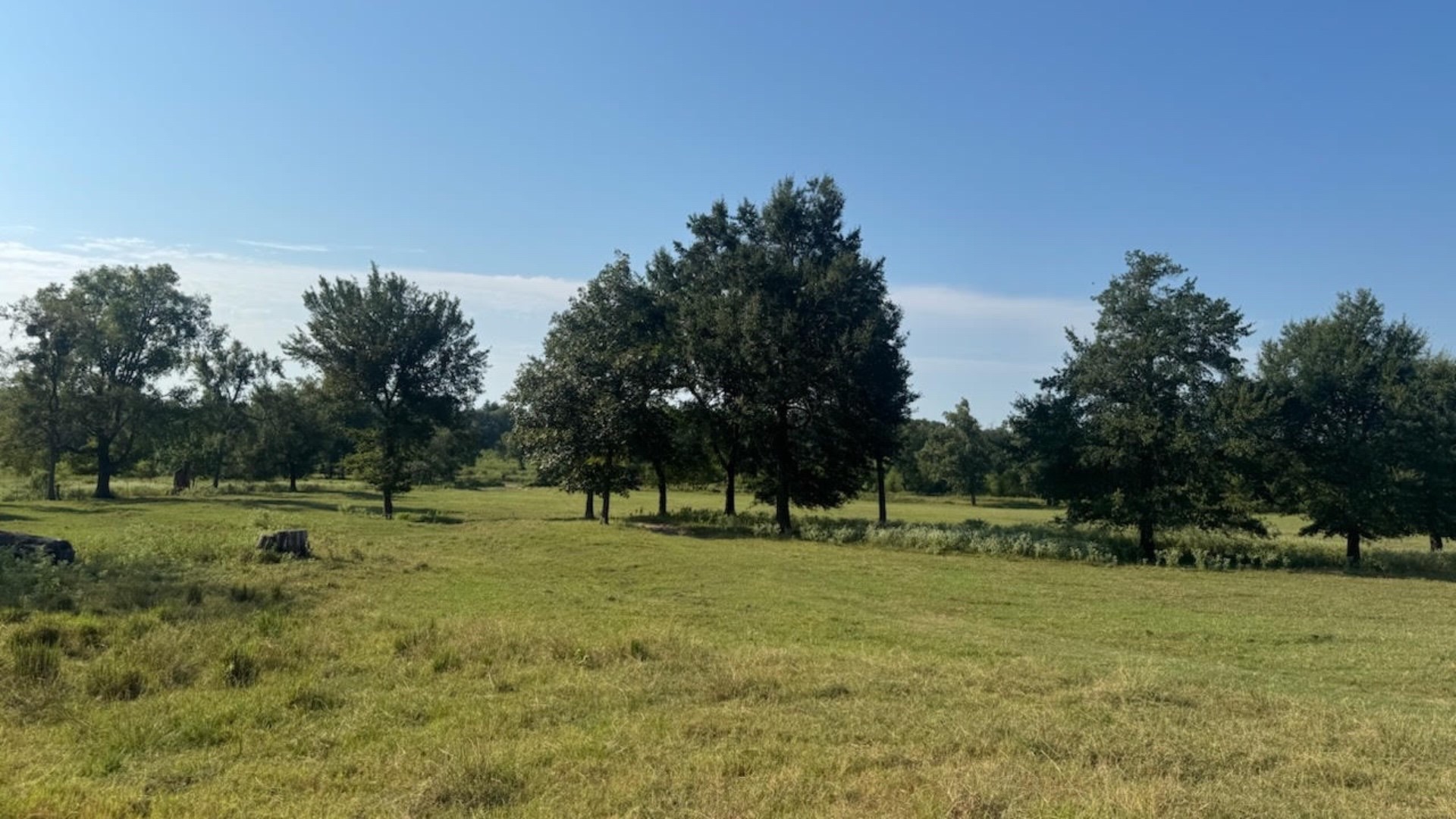 768 County Road 2220 Talco TX 75487