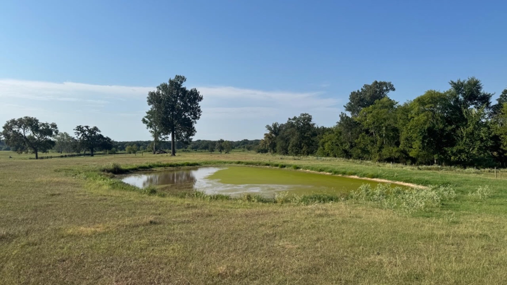768 County Road 2220 Talco TX 75487