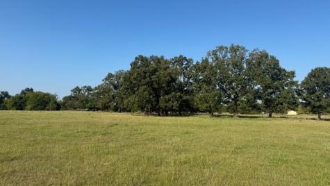 768 County Road 2220 Talco TX 75487
