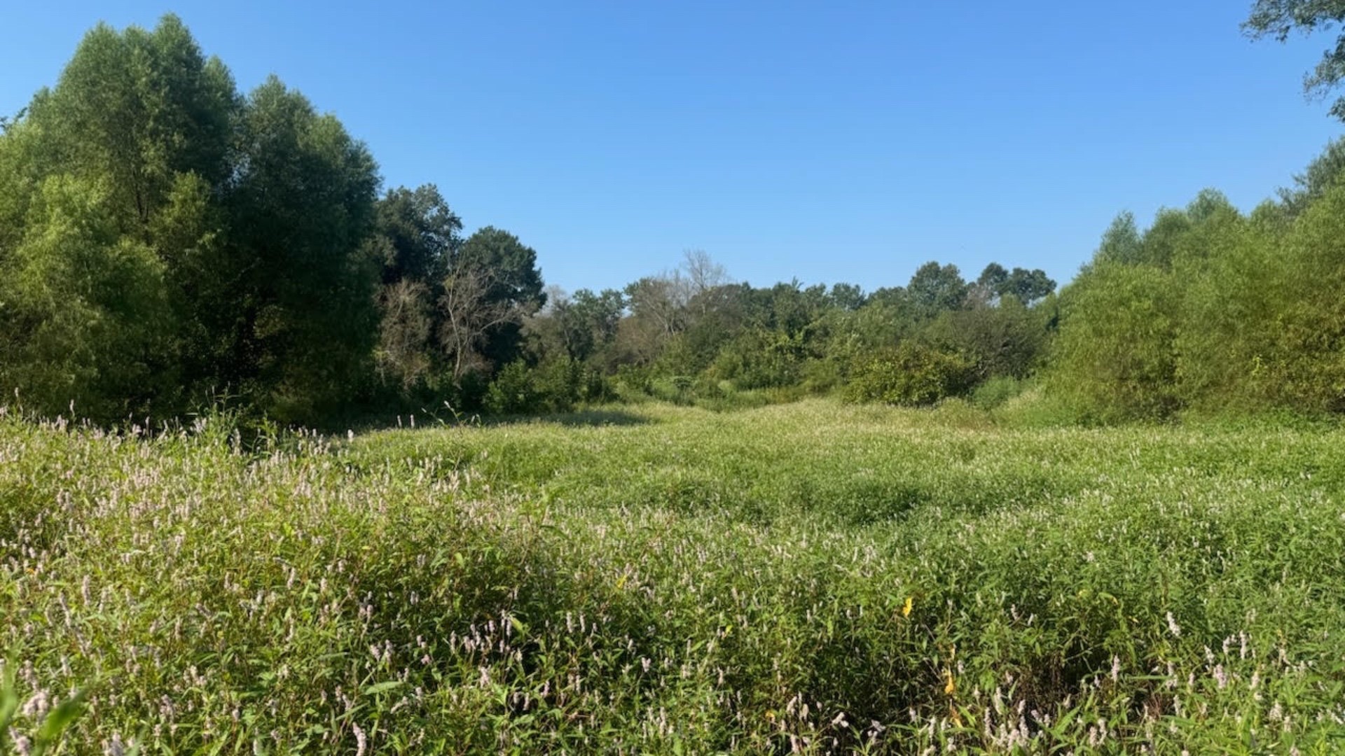 768 County Road 2220 Talco TX 75487