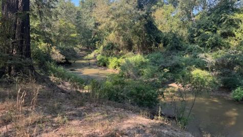 768 County Road 2220 Talco TX 75487