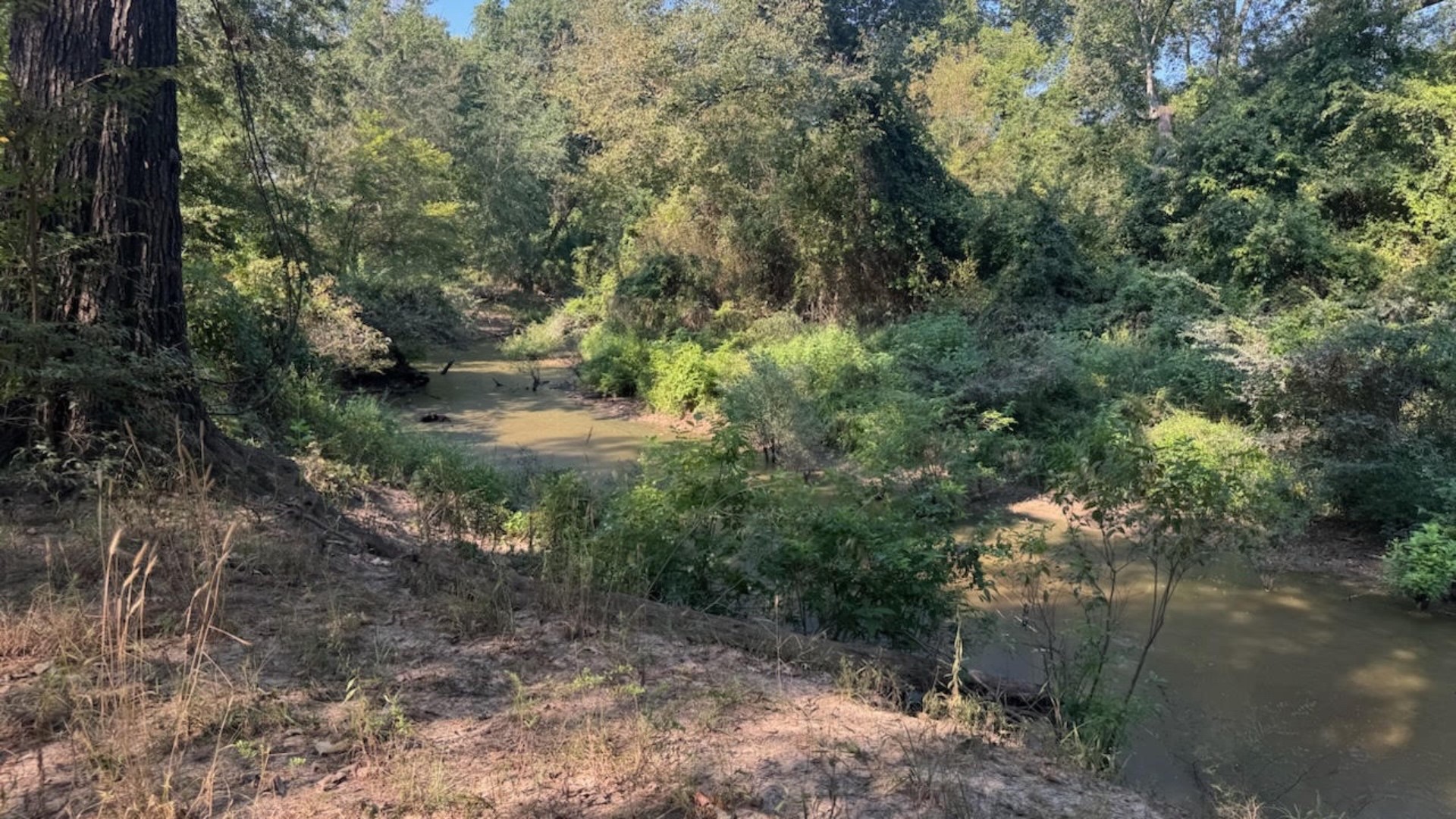 768 County Road 2220 Talco TX 75487