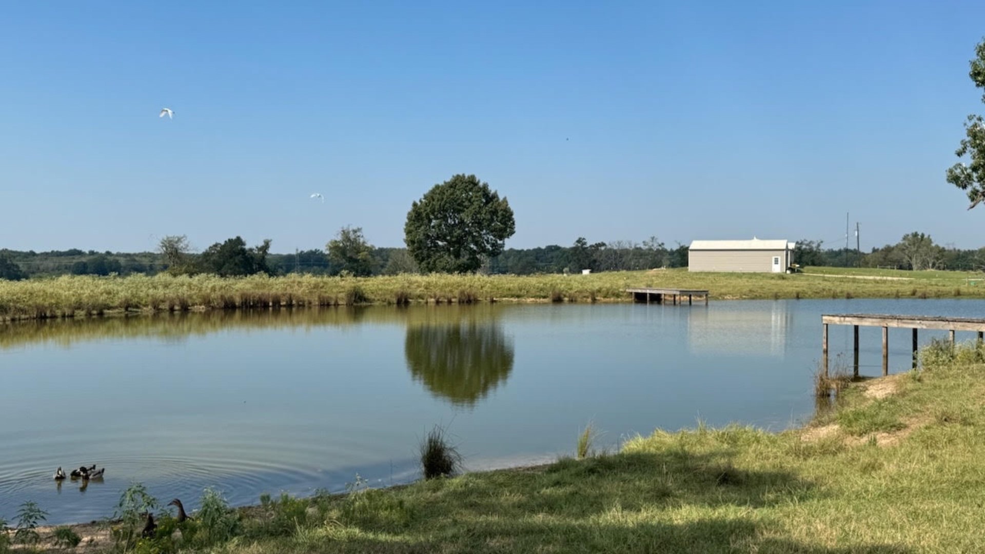 768 County Road 2220 Talco TX 75487