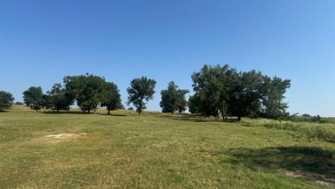 768 County Road 2220 Talco TX 75487