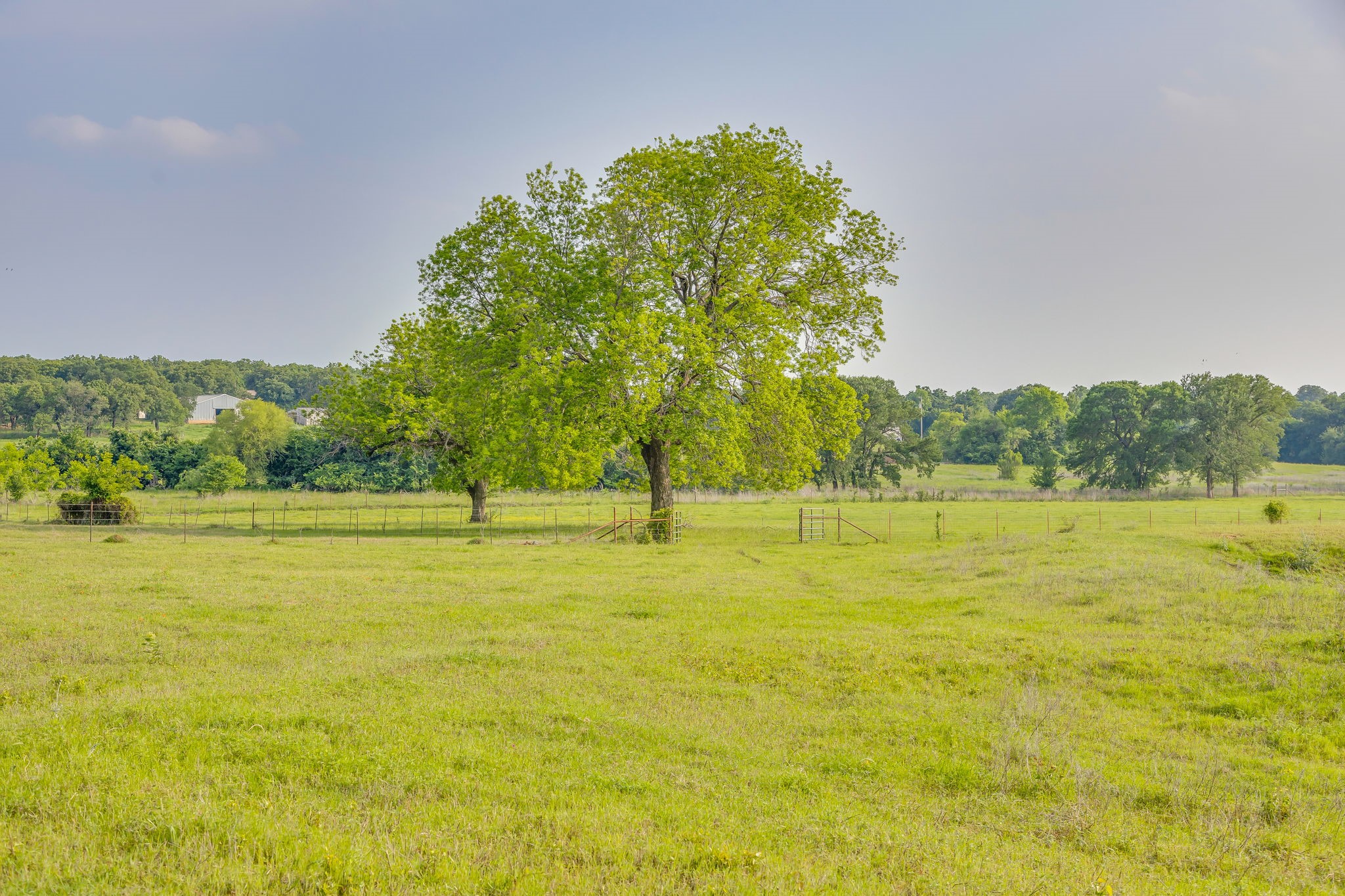 184 Hcr 1439 Covington TX 76636