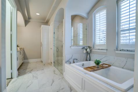 15224 Elderflower Lane Frisco TX 75035