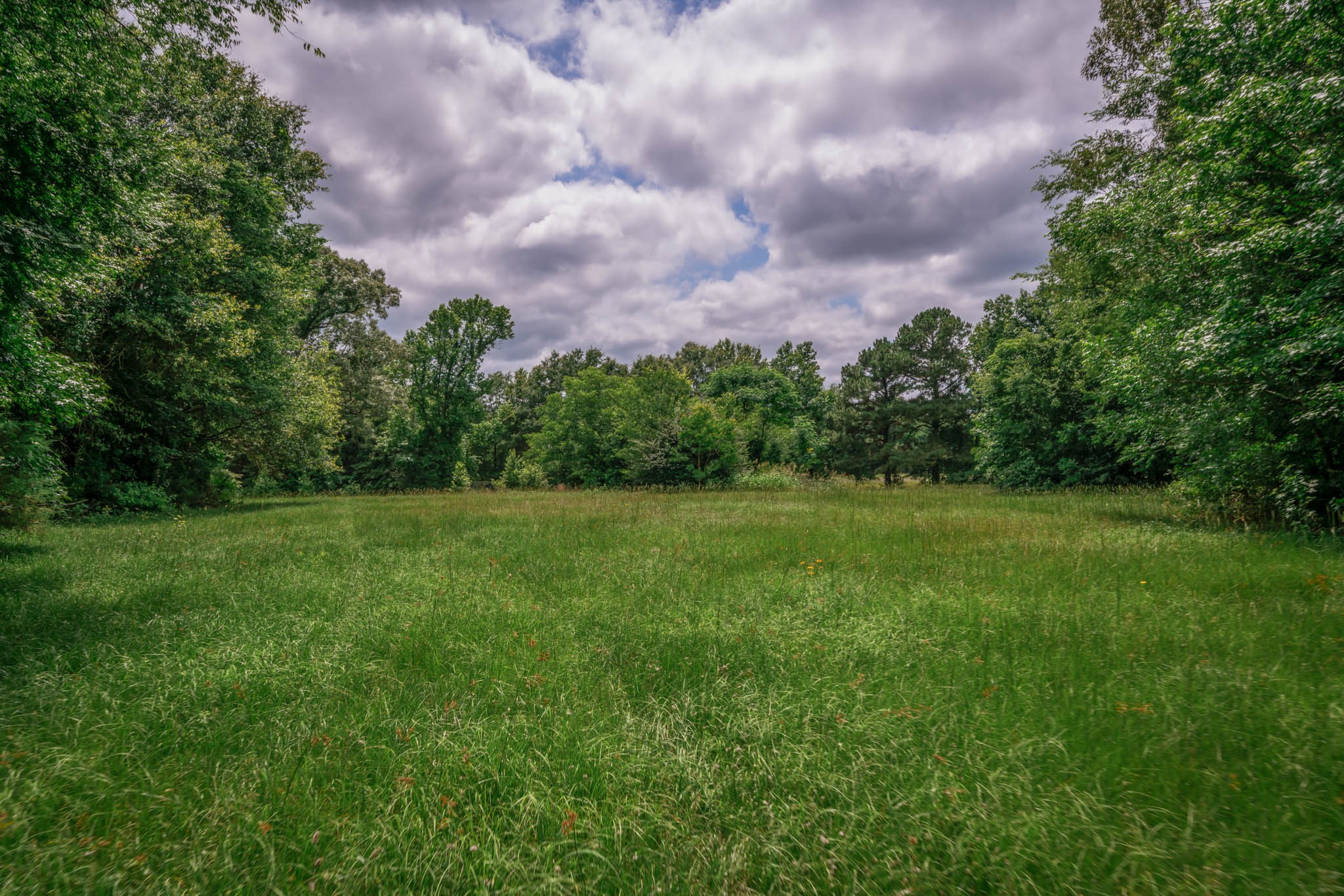 14266 Timberidge Lane Winona TX 75792