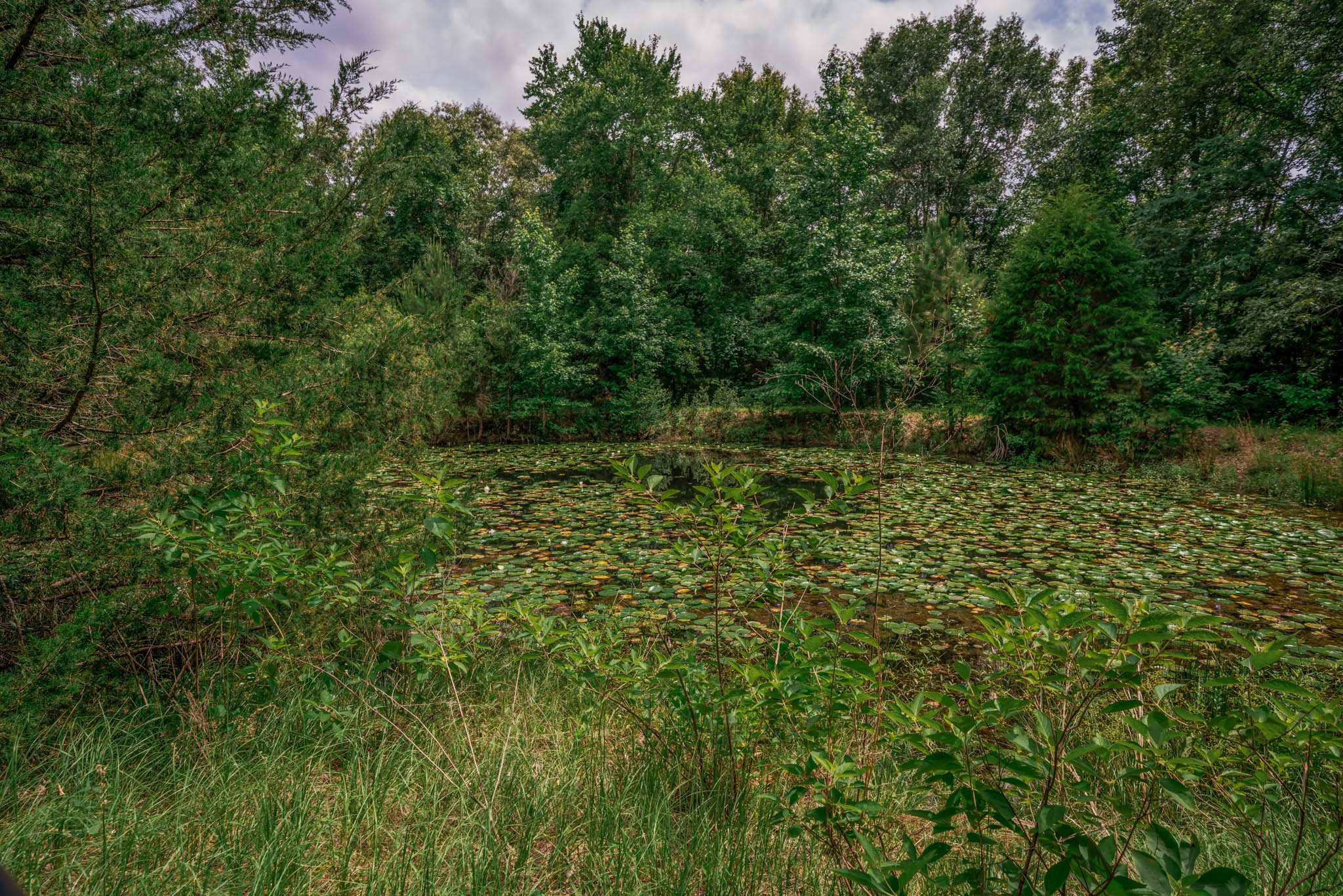 14266 Timberidge Lane Winona TX 75792