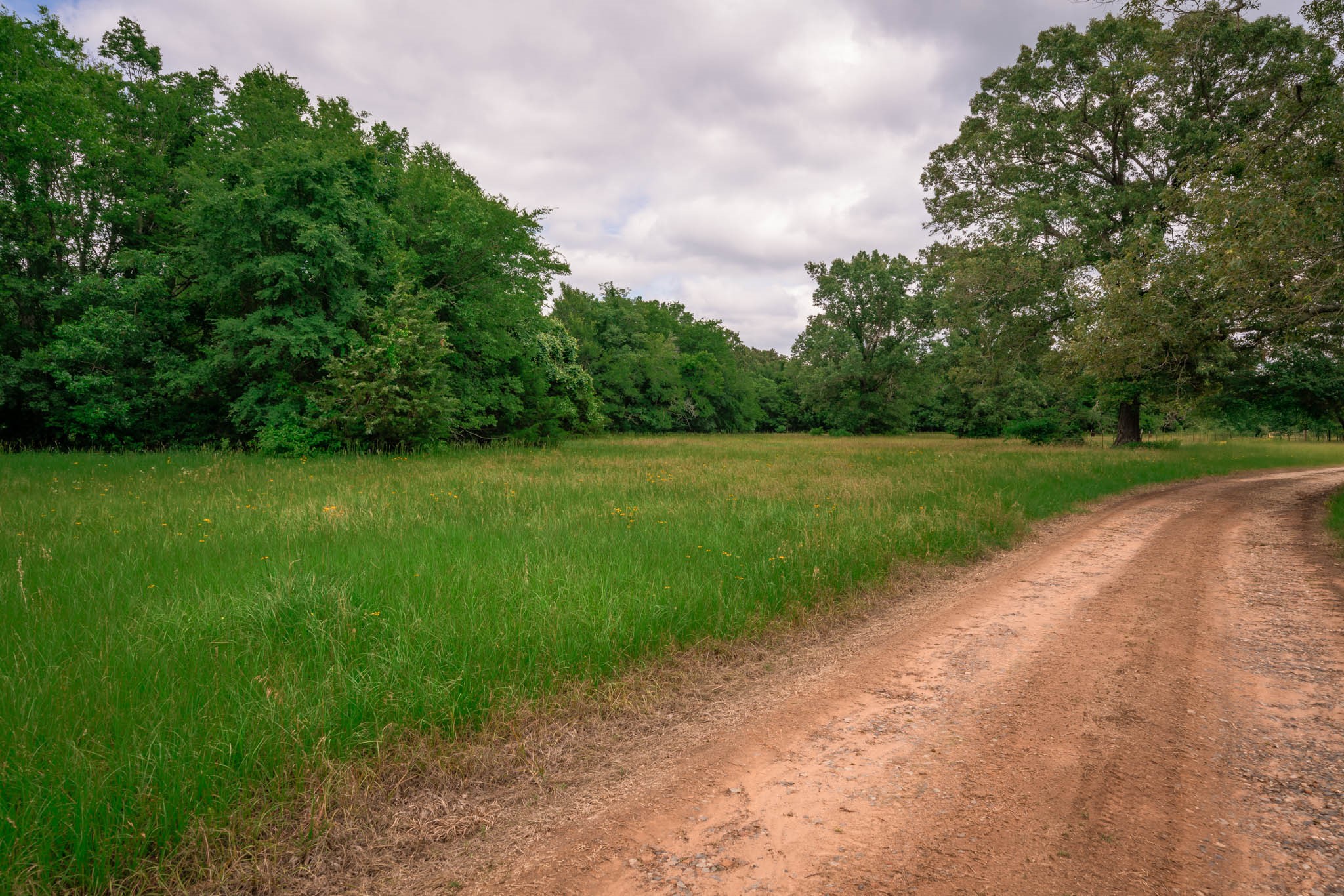 14266 Timberidge Lane Winona TX 75792