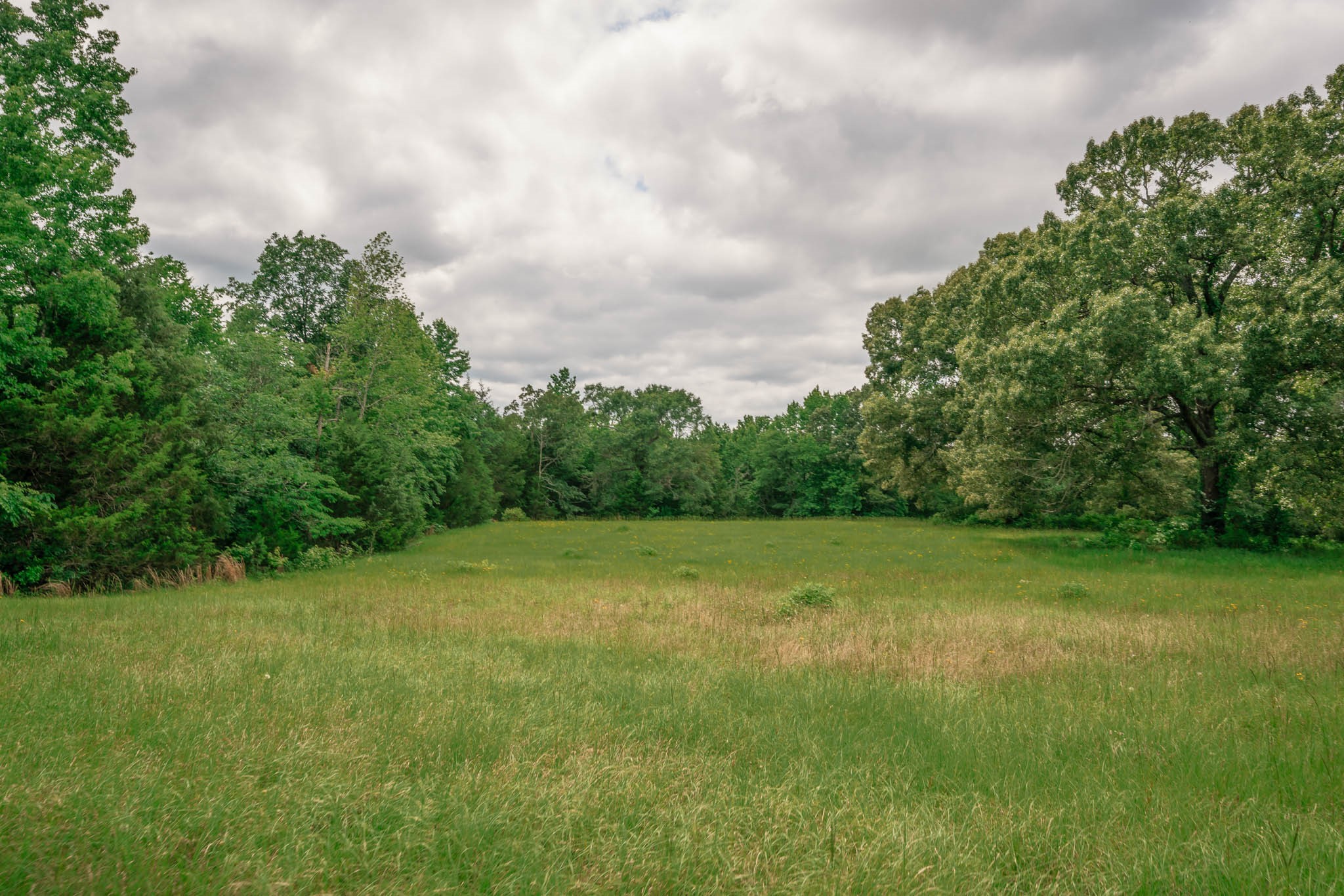 14266 Timberidge Lane Winona TX 75792