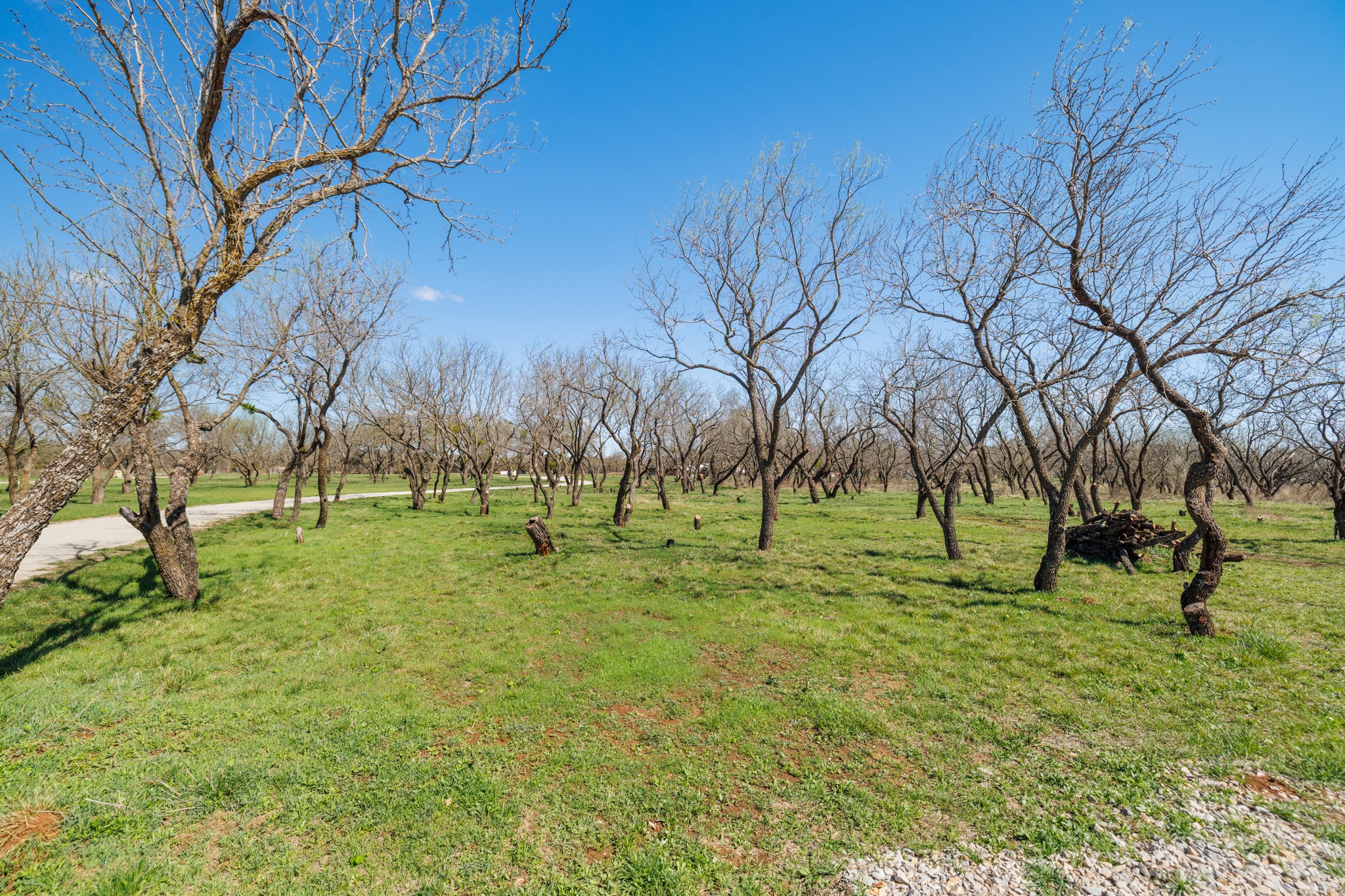 3445 County Road 337 Early TX 76802