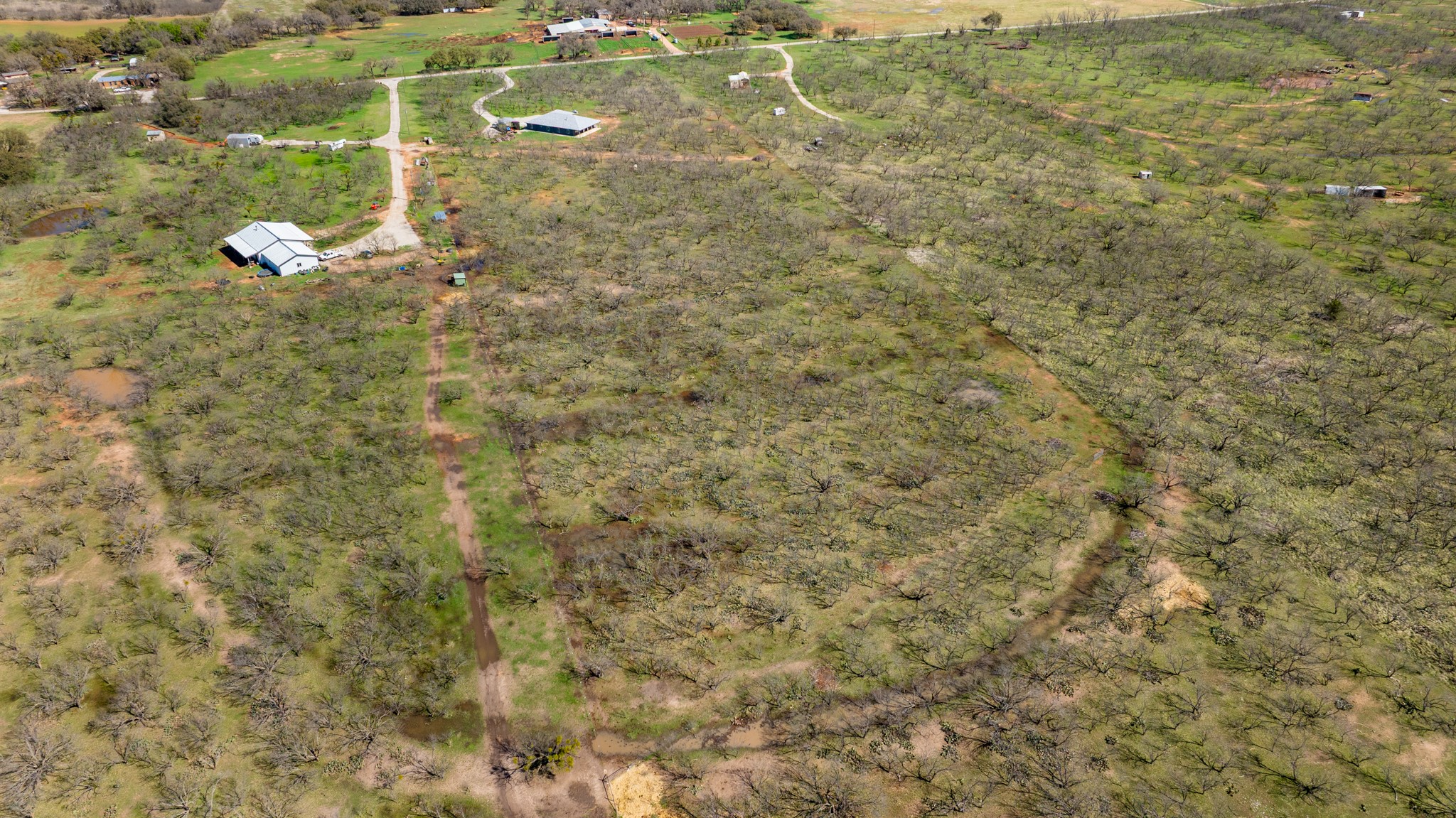 3445 County Road 337 Early TX 76802
