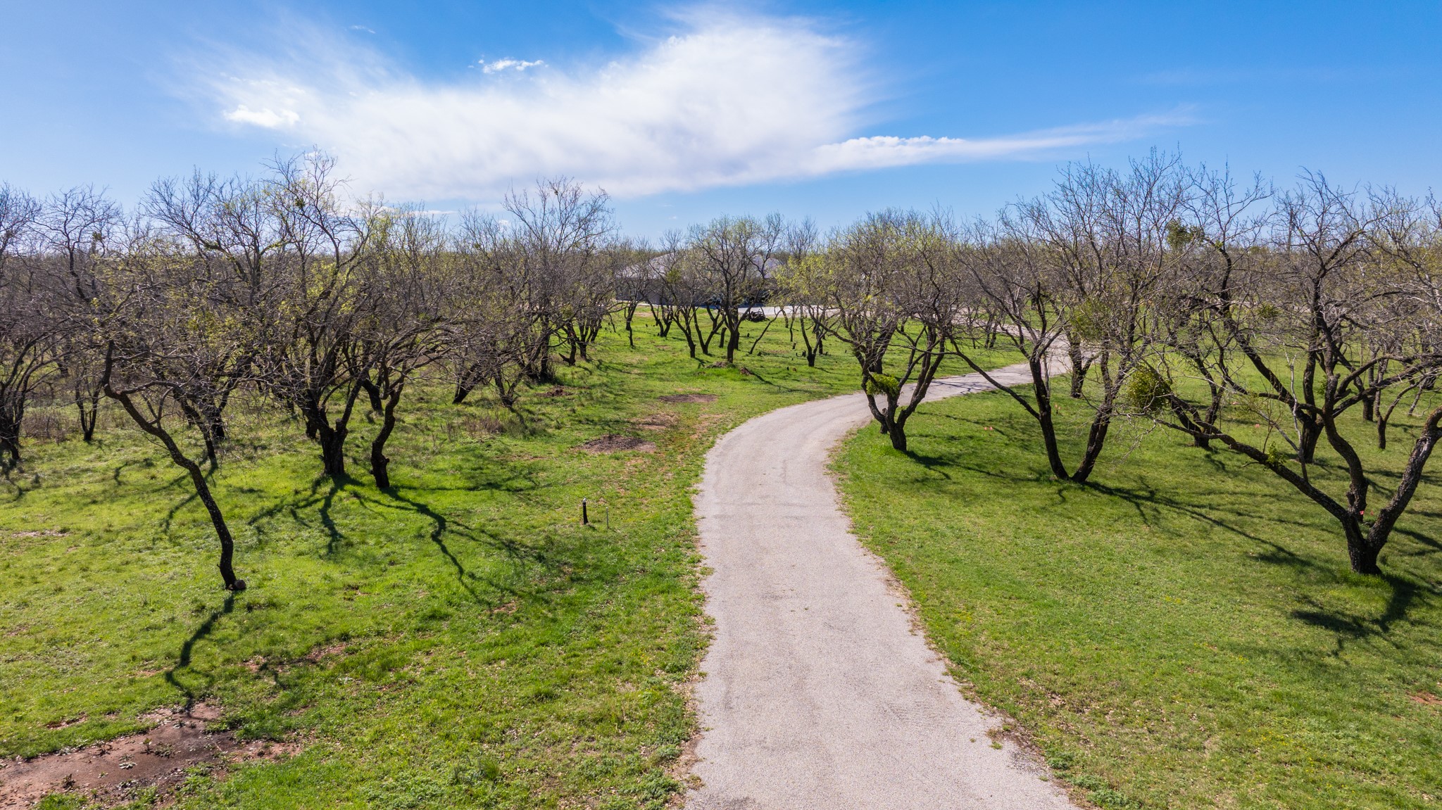 3445 County Road 337 Early TX 76802