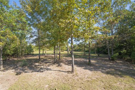 3299 Cr 1579 Avinger TX 75630