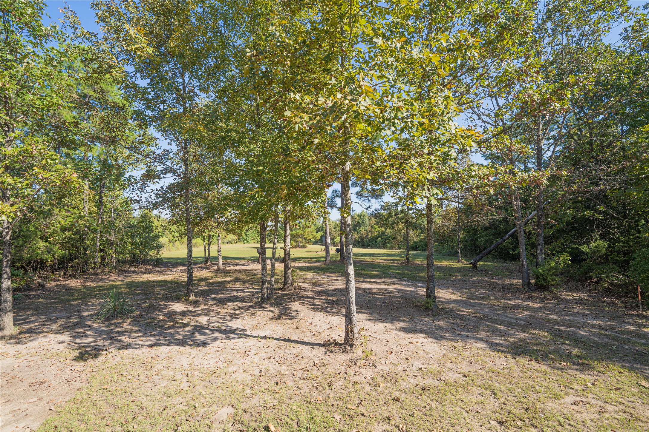 3299 Cr 1579 Avinger TX 75630