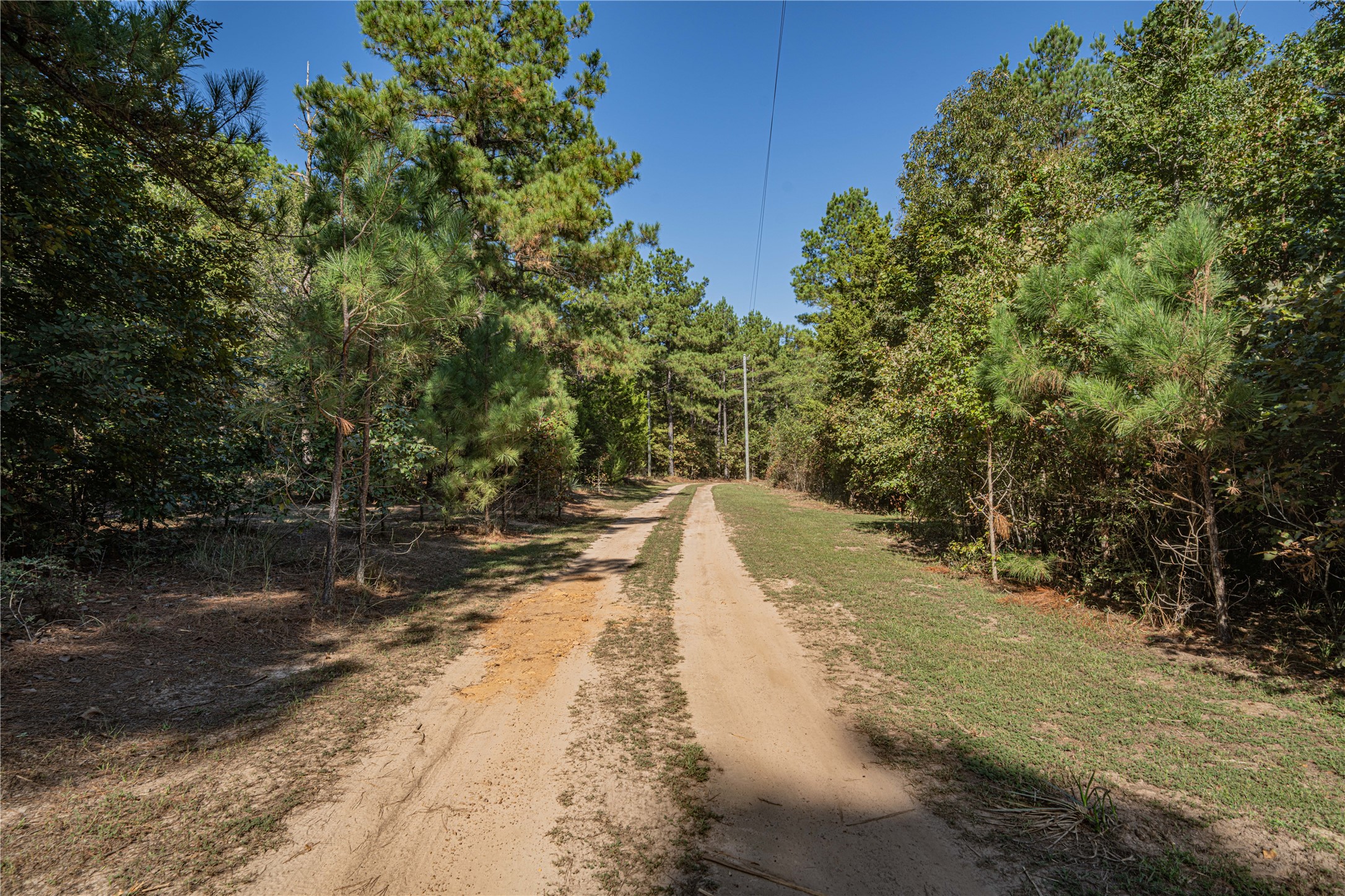 3299 Cr 1579 Avinger TX 75630