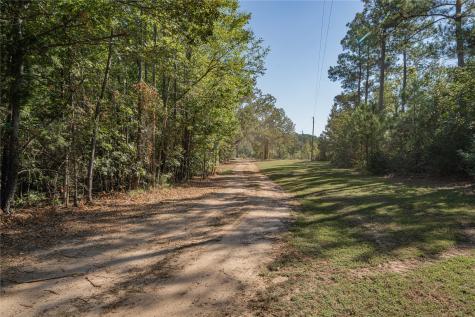 3299 Cr 1579 Avinger TX 75630