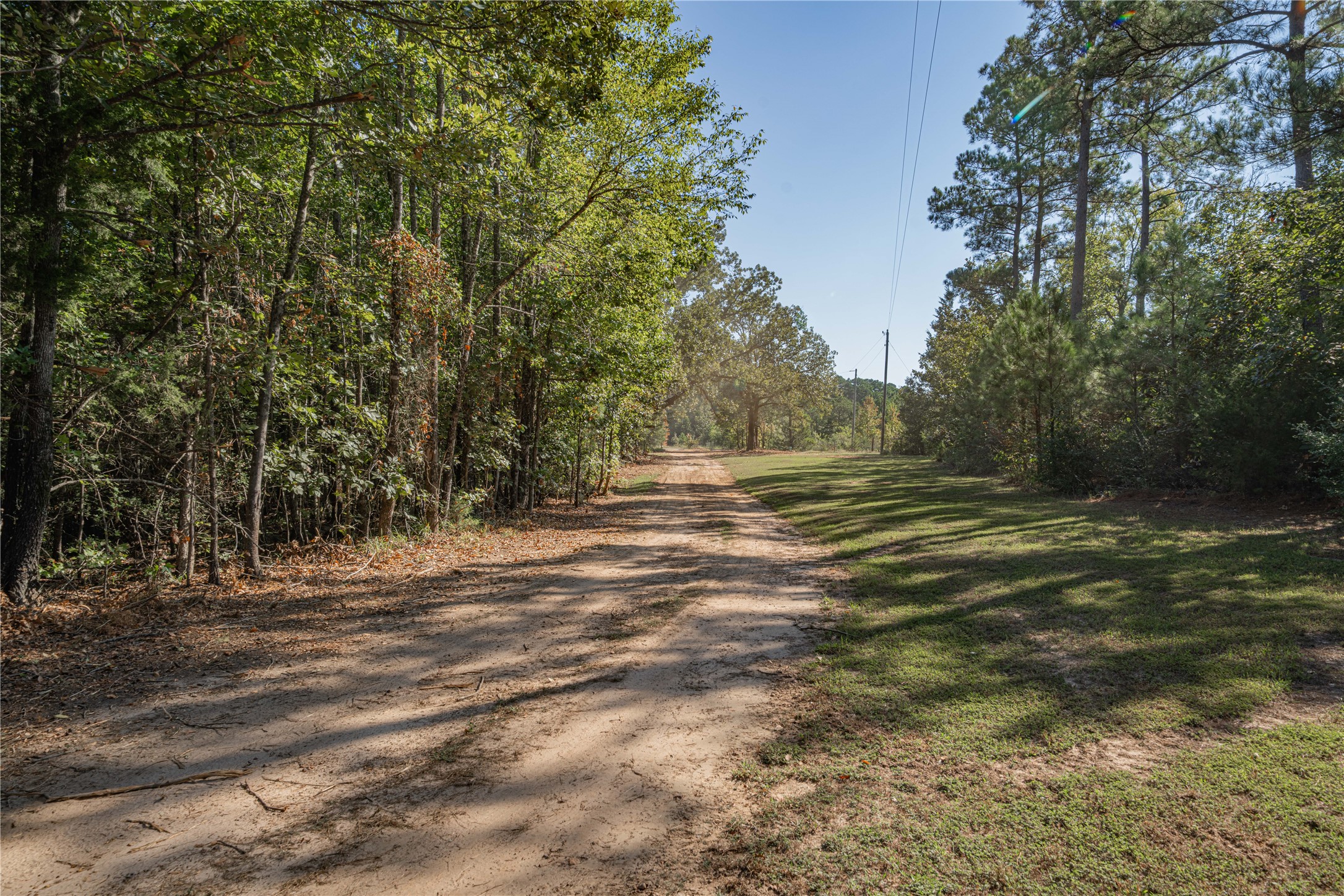 3299 Cr 1579 Avinger TX 75630