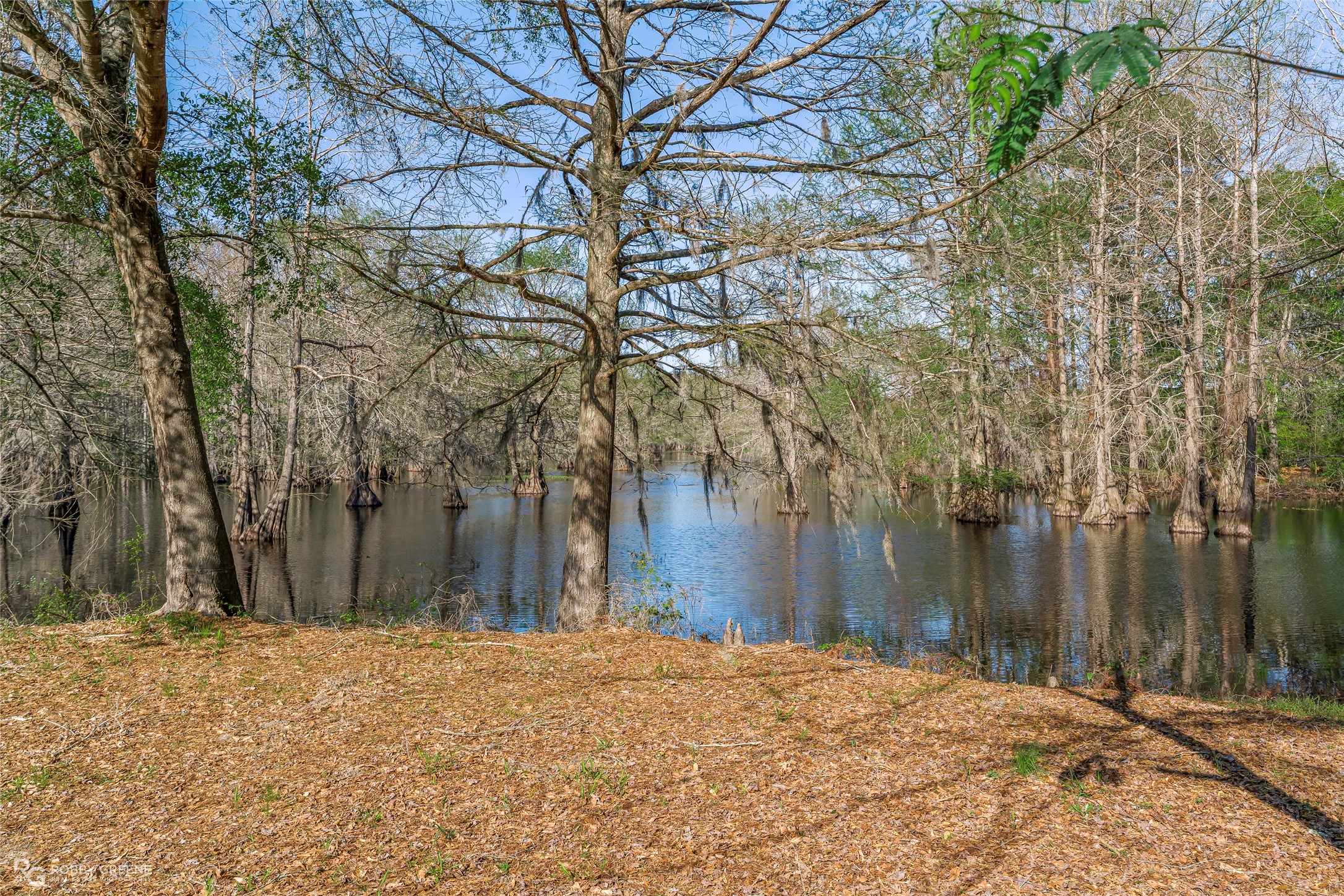 121 Willow Street Heflin LA 71039