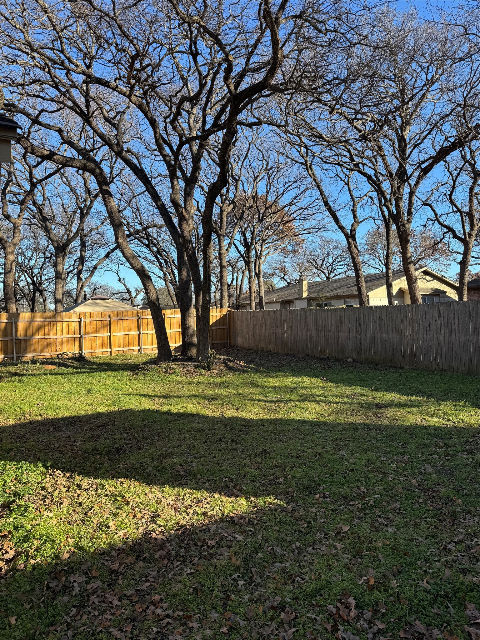 5604 Atlantis Terrace Arlington TX 76016