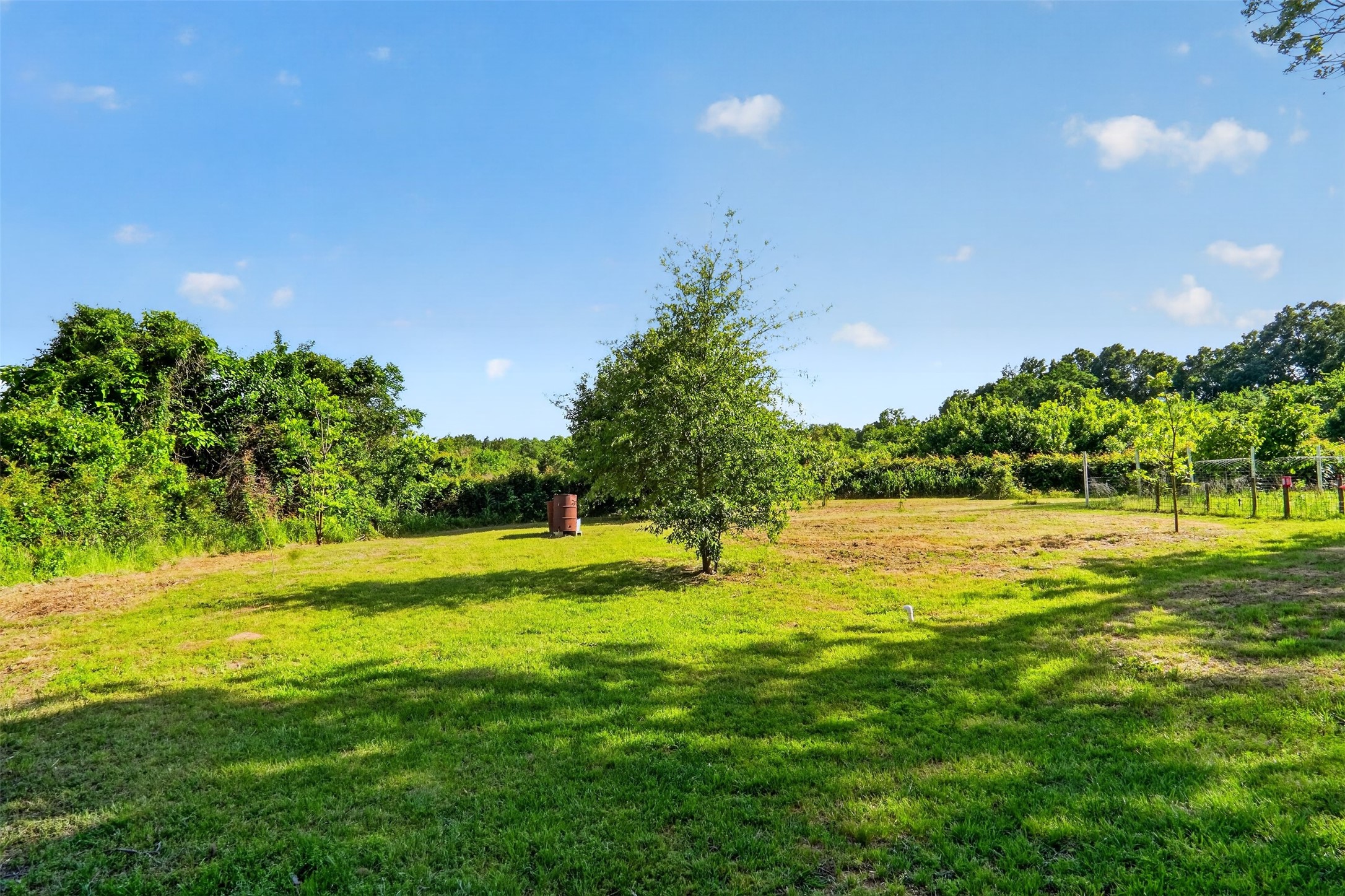615 W North Street Blossom TX 75416