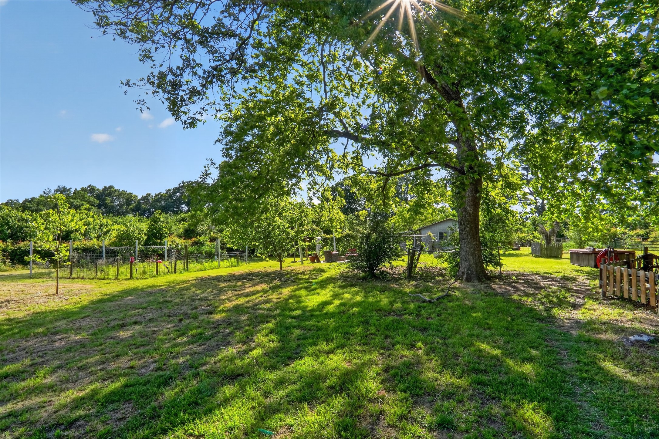 615 W North Street Blossom TX 75416