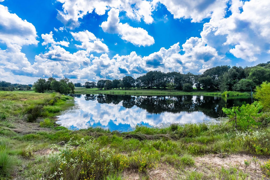 4149 An County Road 2202 Palestine TX 75803