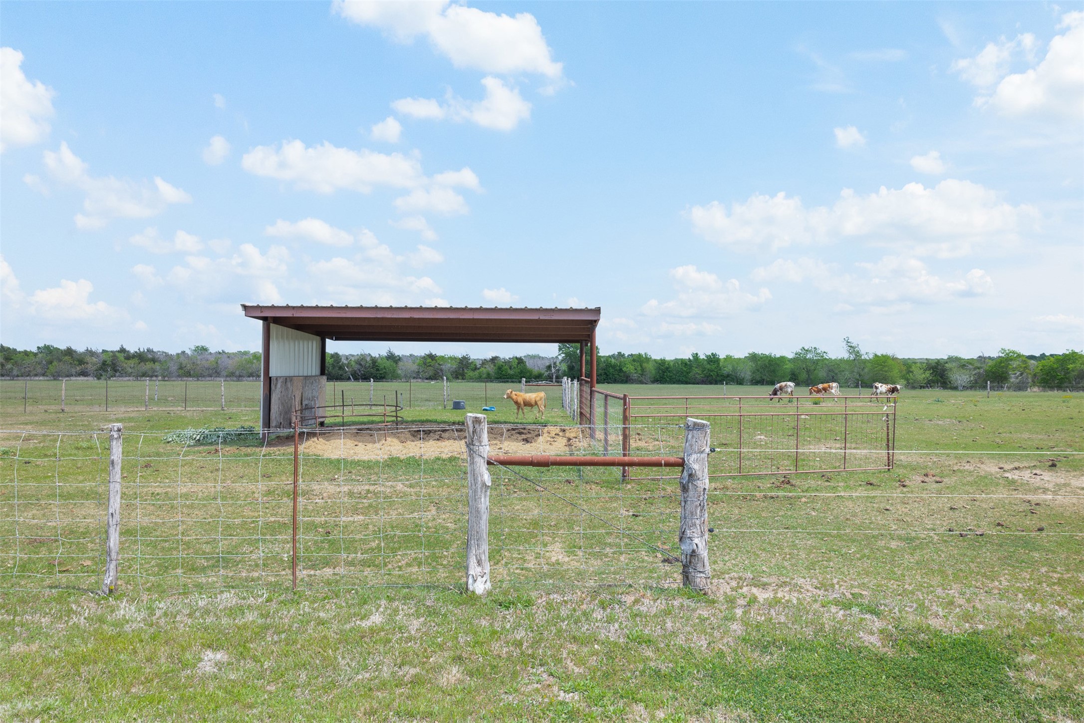 131 Cr 279 Kosse TX 76653