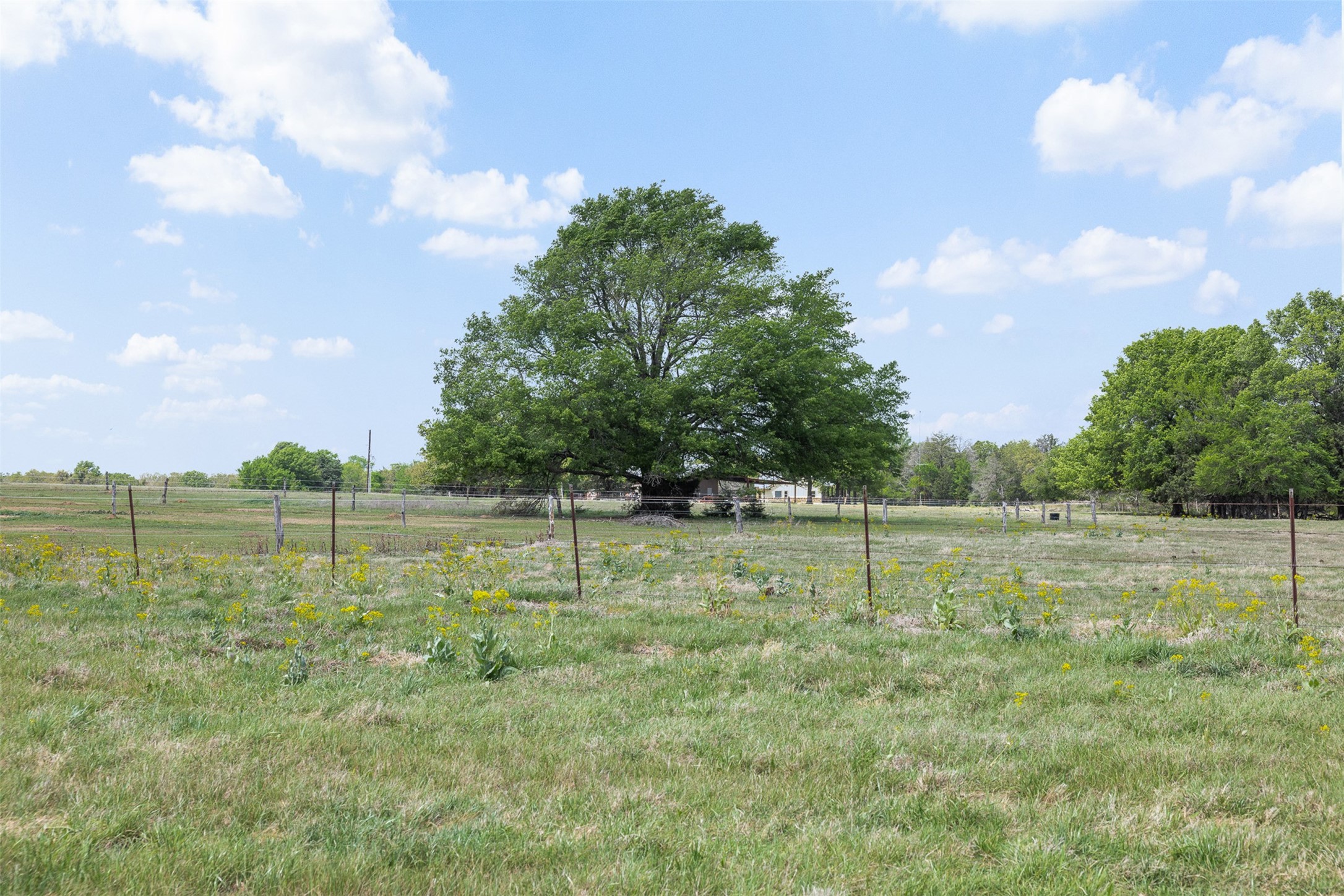 131 Cr 279 Kosse TX 76653