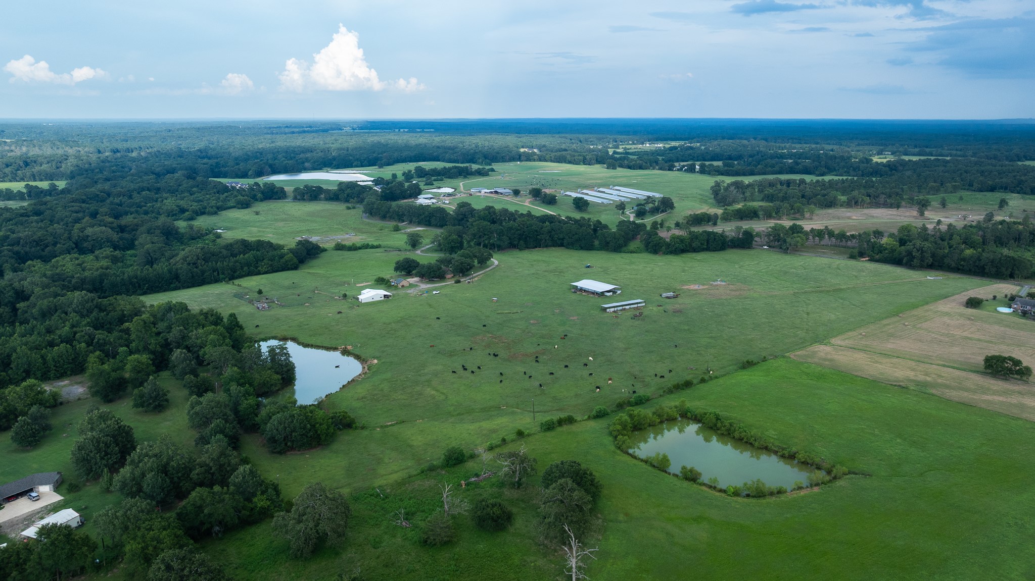 668 County Road 108 Carthage TX 75633