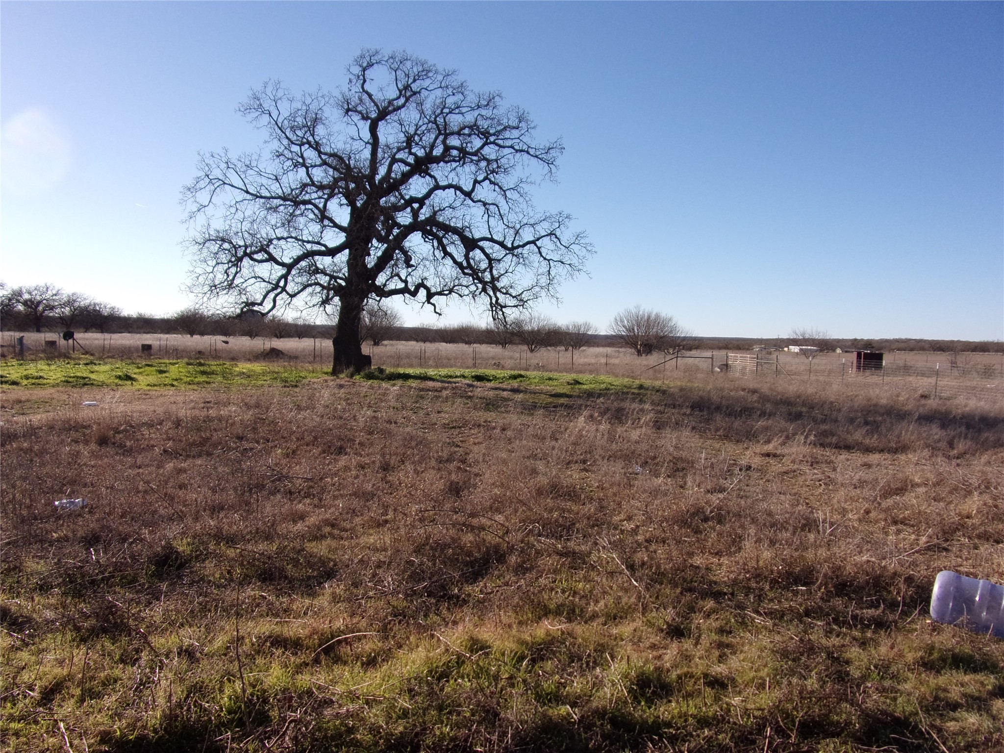 188 Pr Cr 146 San Saba TX 76877