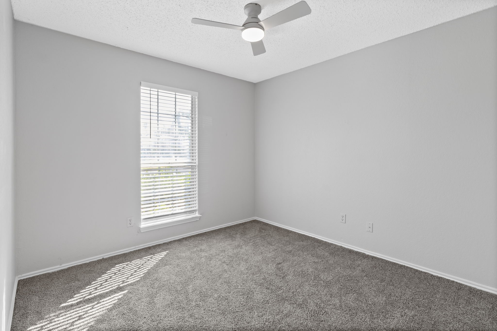 707 Shadybrook Lane Seagoville TX 75159