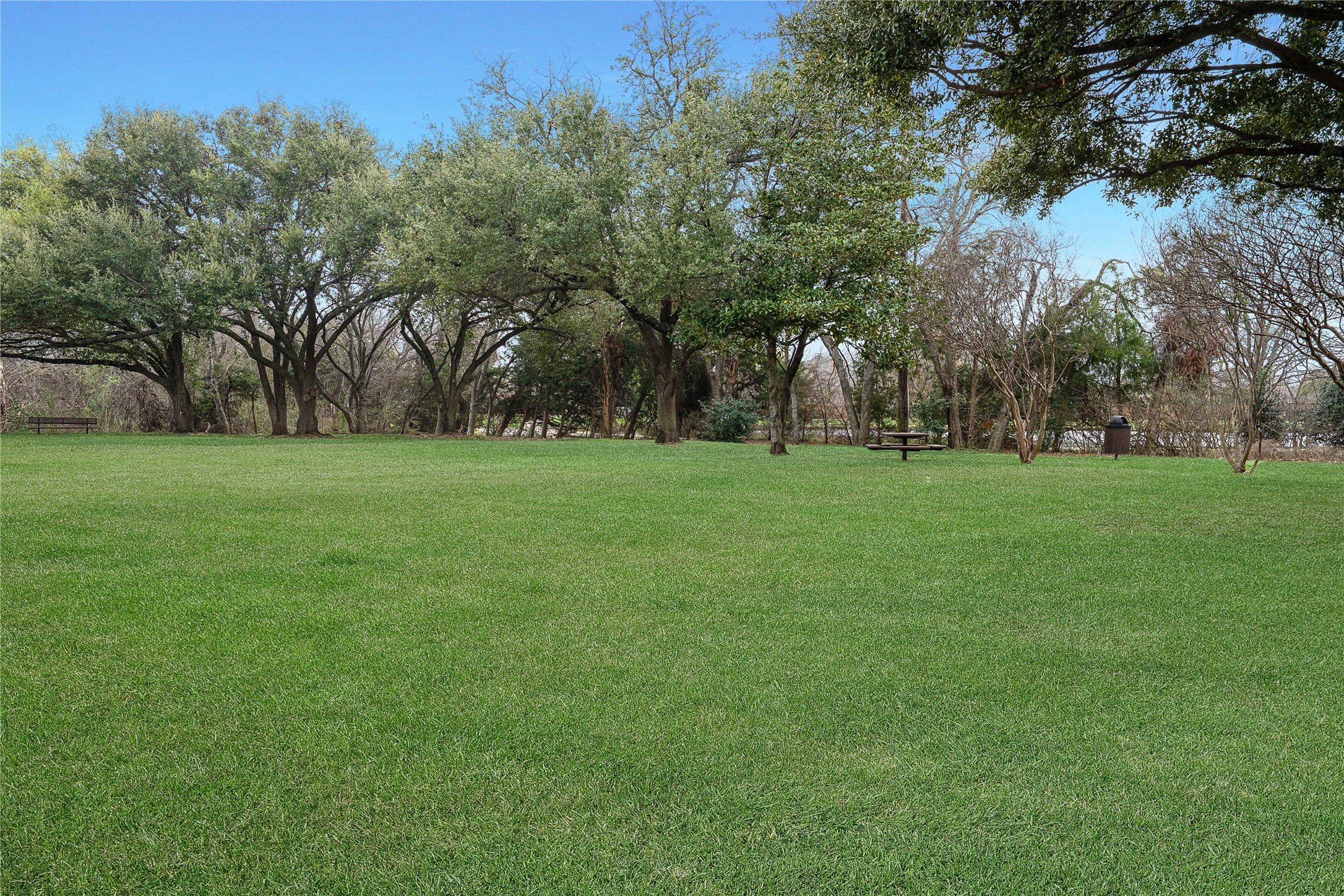 18403 Gibbons Drive Dallas TX 75287