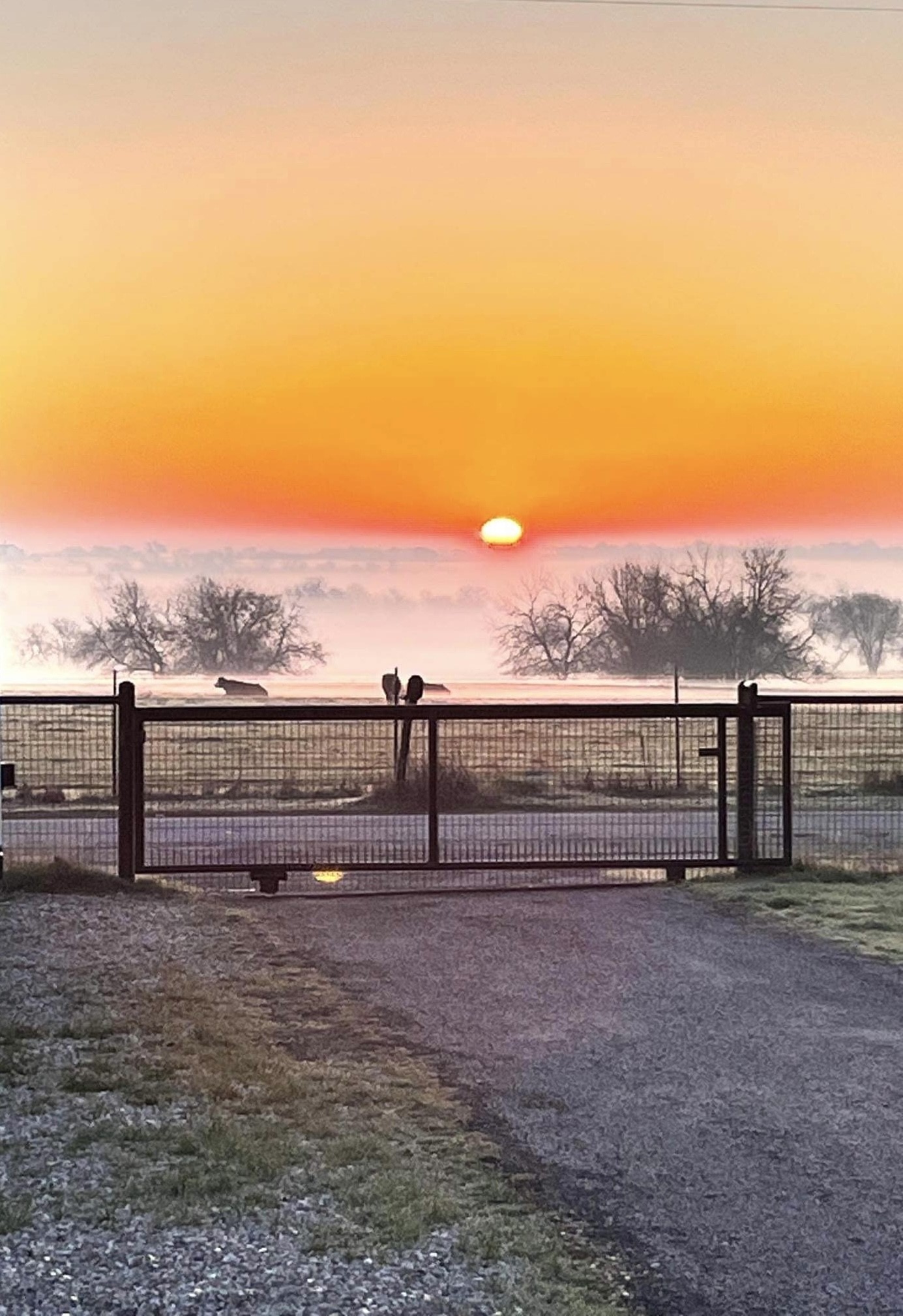6482 County Road 321 Valley View TX 76272
