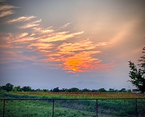 6482 County Road 321 Valley View TX 76272