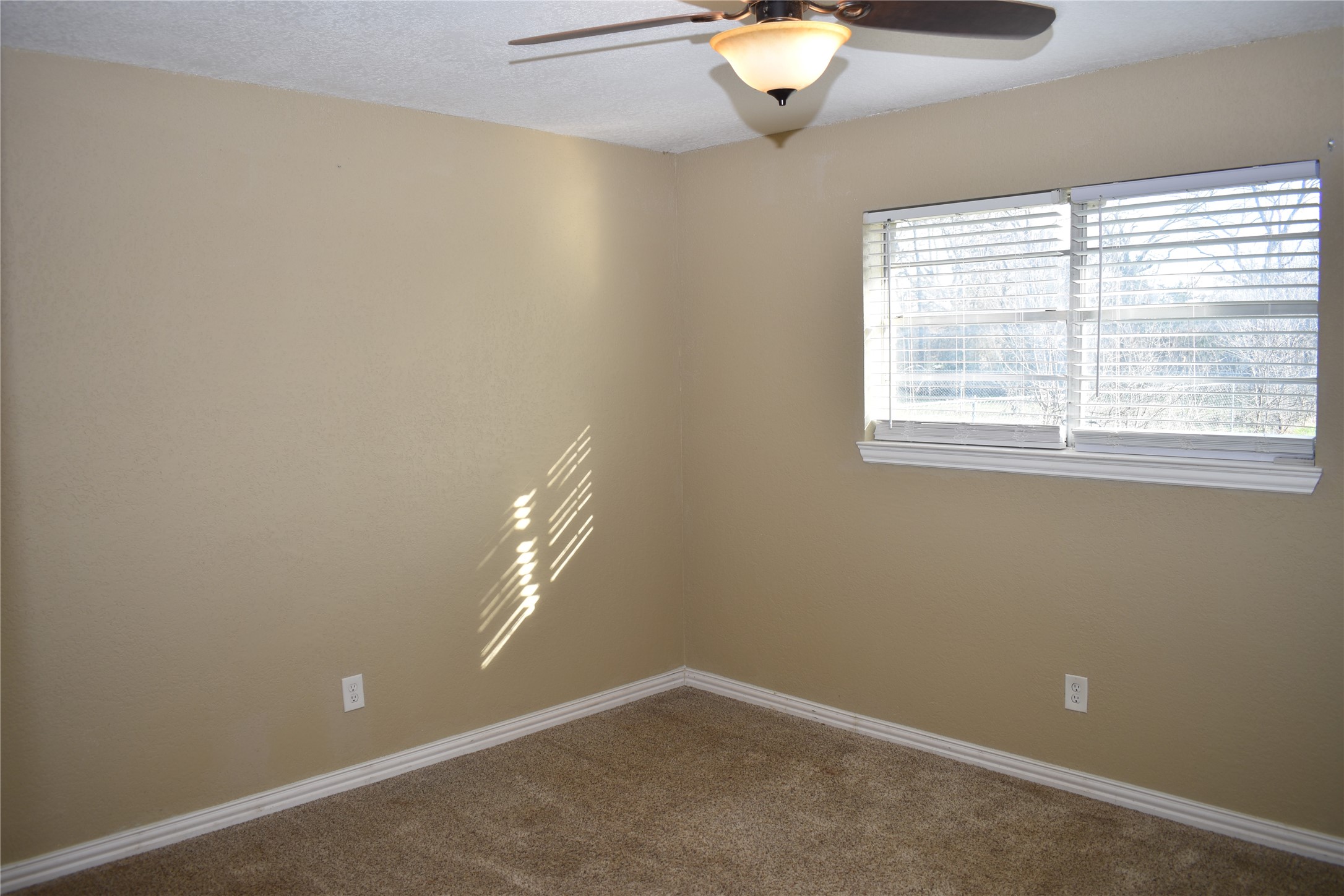 1207 E Fitzgerald Street Bangs TX 76823