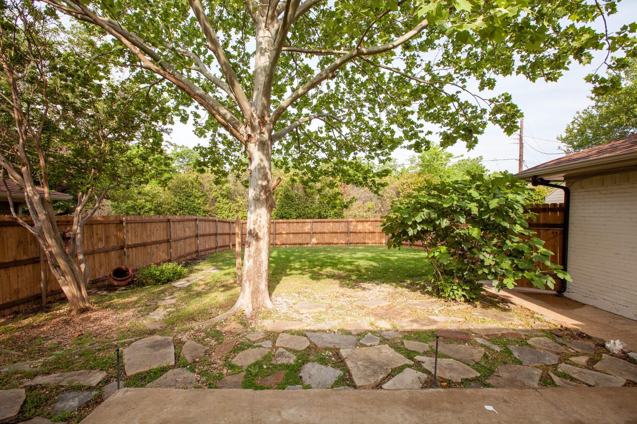 319 Gwendola Drive Mckinney TX 75071