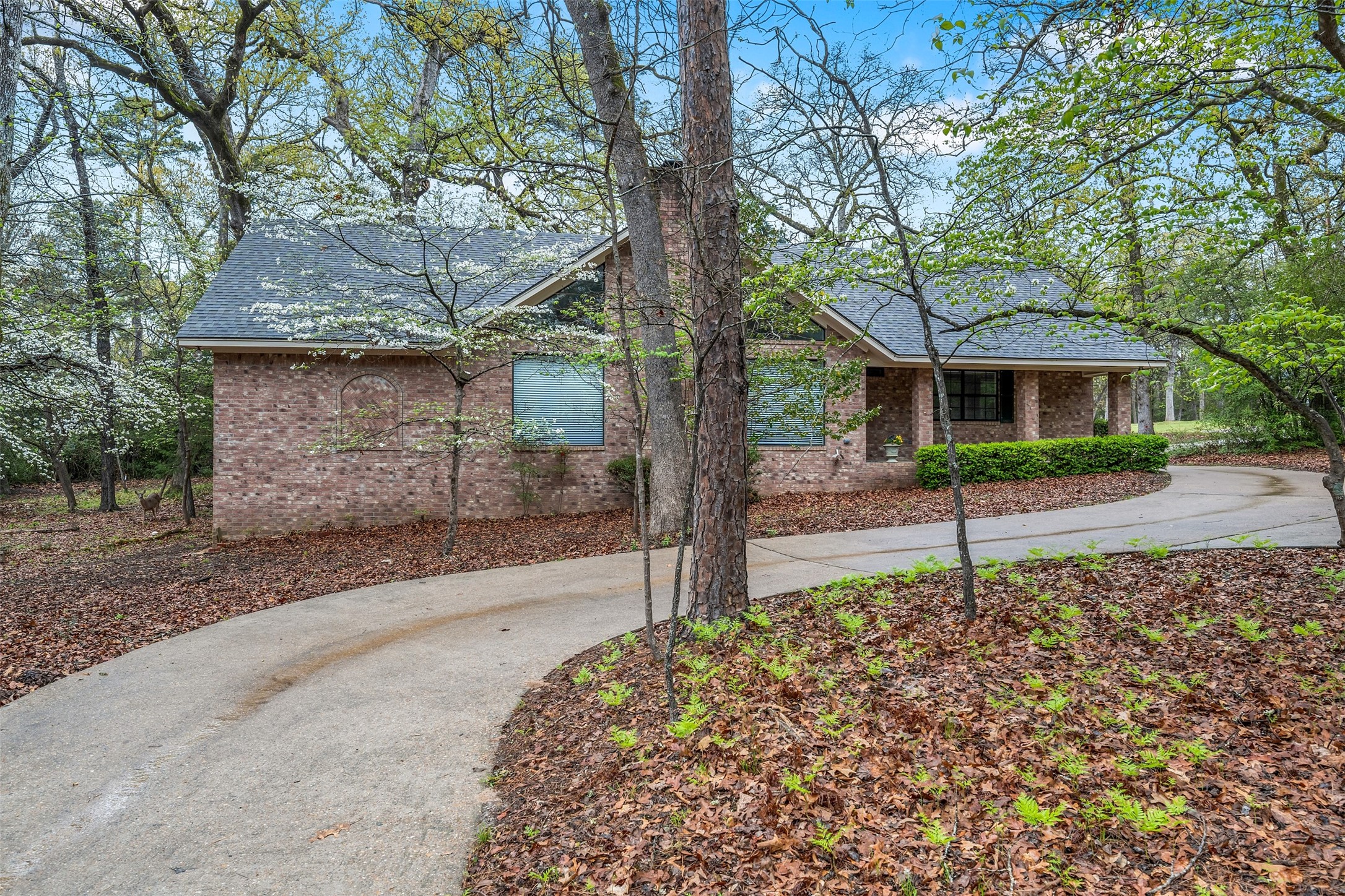 411 Raton Pass Holly Lake Ranch TX 75765