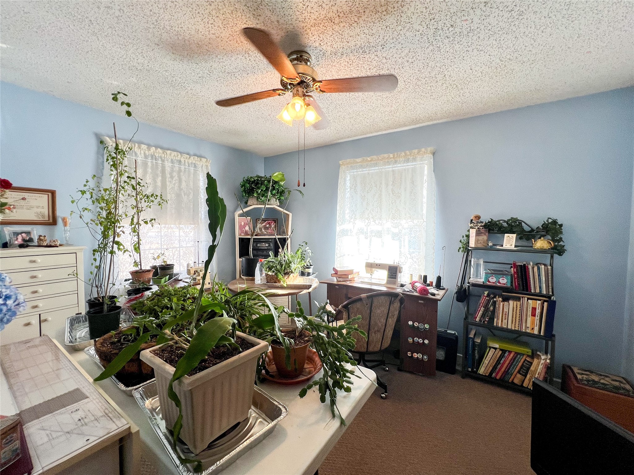 304 SE 2nd Street Knox City TX 79529