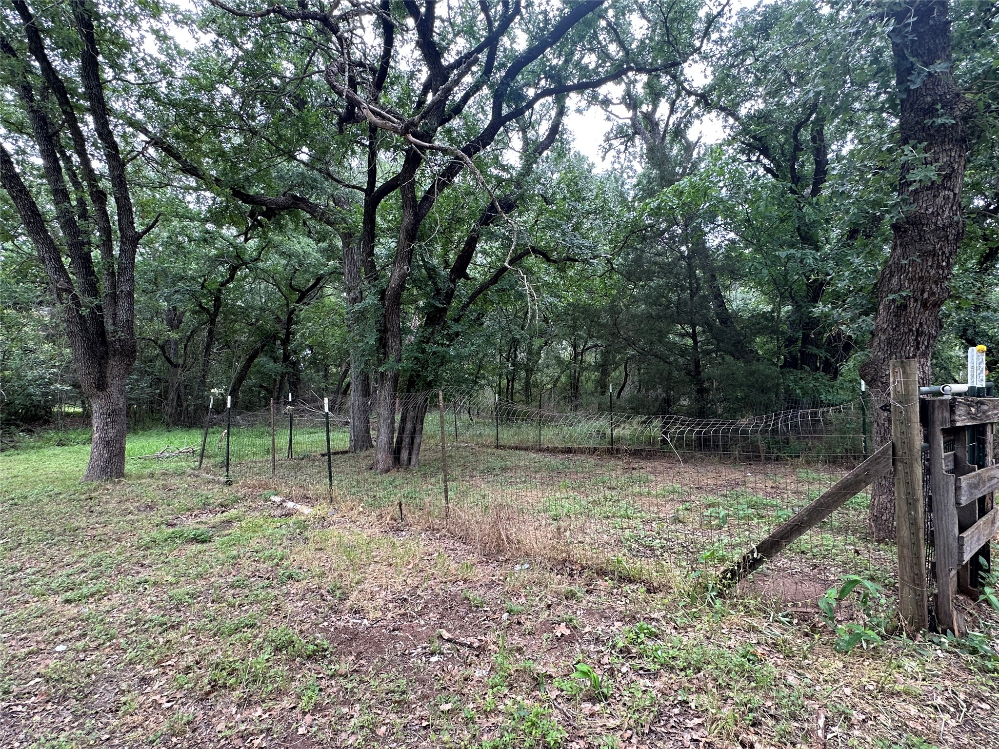 203 Eastover Drive Early TX 76802