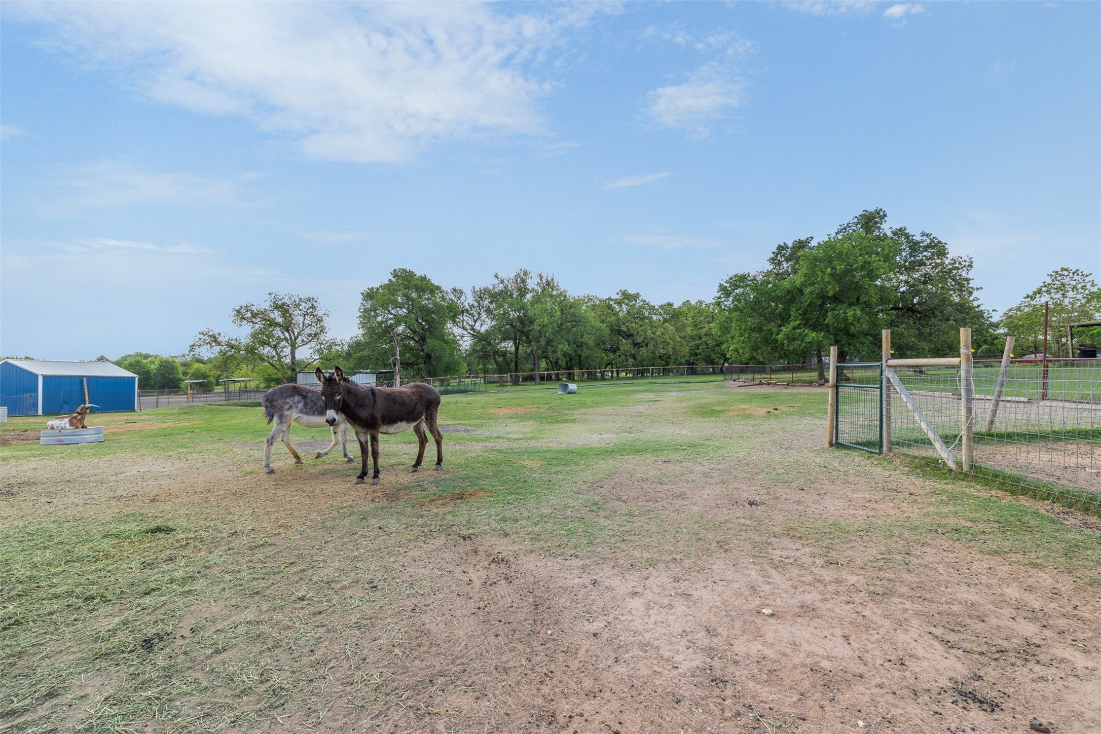 203 Saffle Road Robinson TX 76706