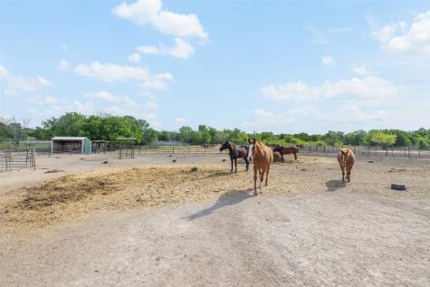 203 Saffle Road Robinson TX 76706