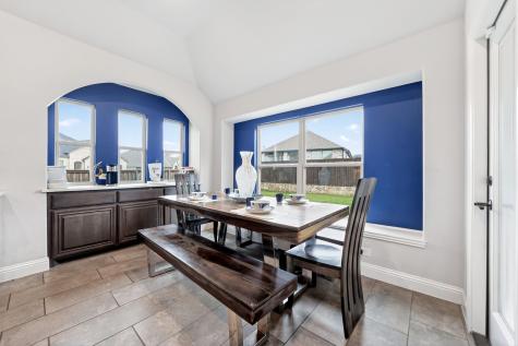 1713 Budino Drive Mclendon Chisholm TX 75032