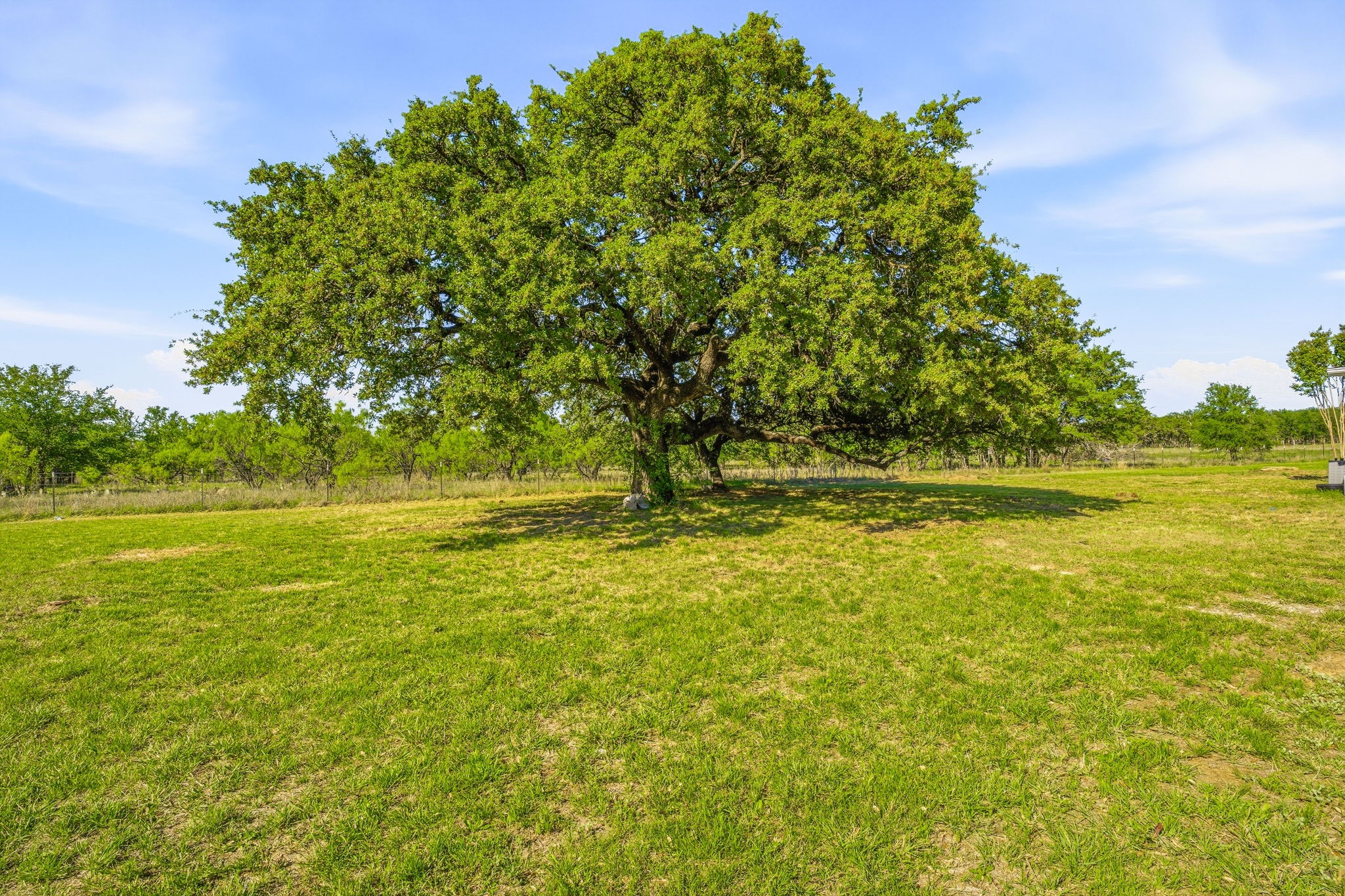 2997 County Road 339 Early TX 76802