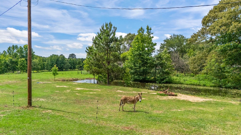 1122 County Road 3750 Hawkins TX 75765