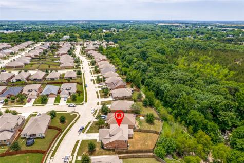 1608 Persimmon Drive Anna TX 75409