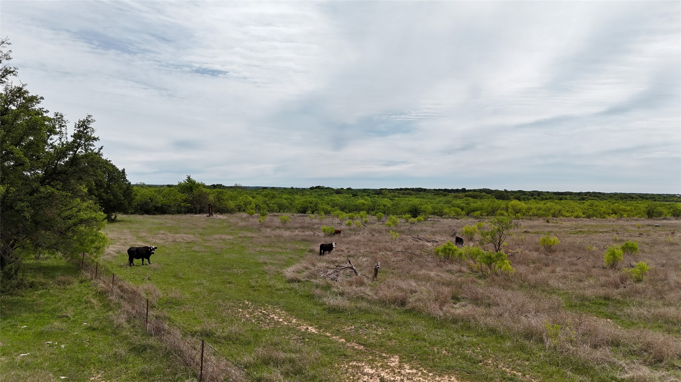 4000 County Road 372 Early TX 76802